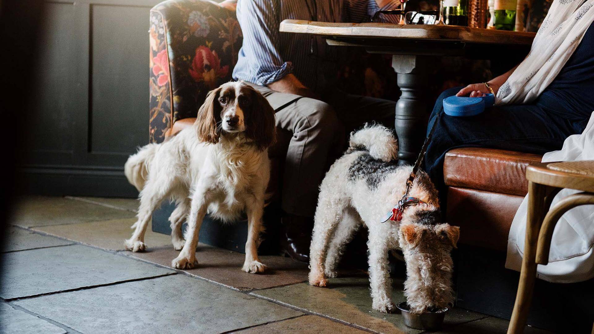 the-joiners-arms-dog-friendly