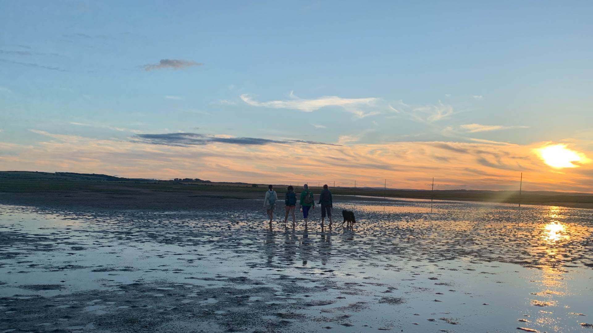 Evening walk to Holy Island
