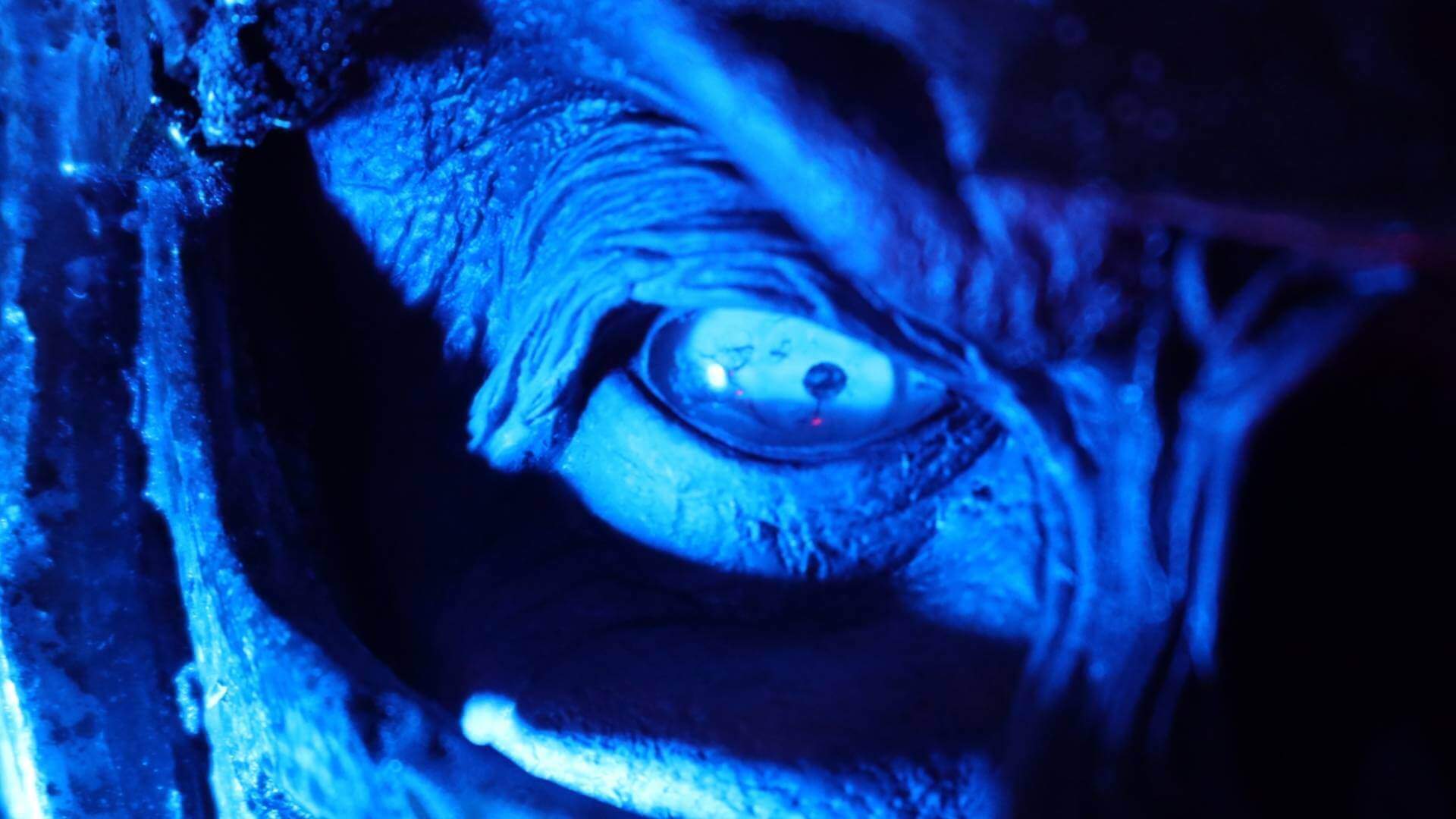 Sci-Fi Monsters Live: Seek, Locate, Restore!