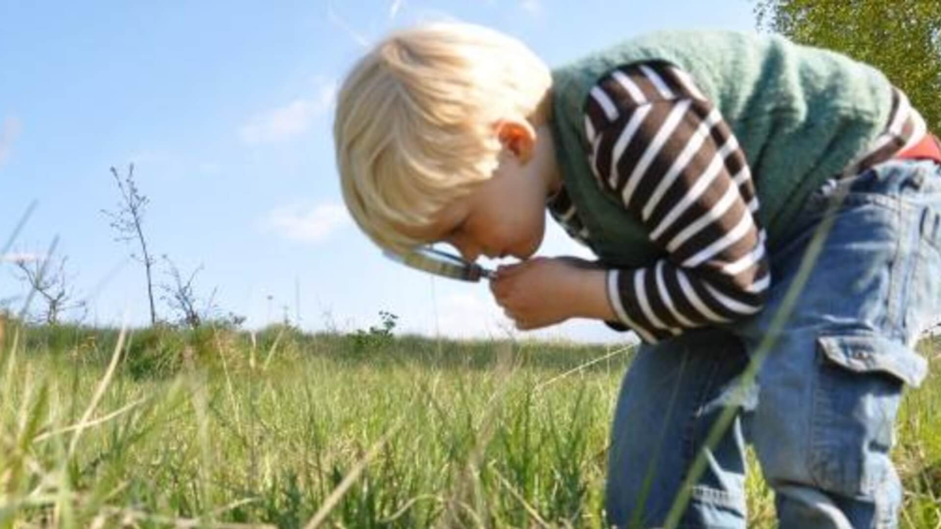 Bug hunt family activities