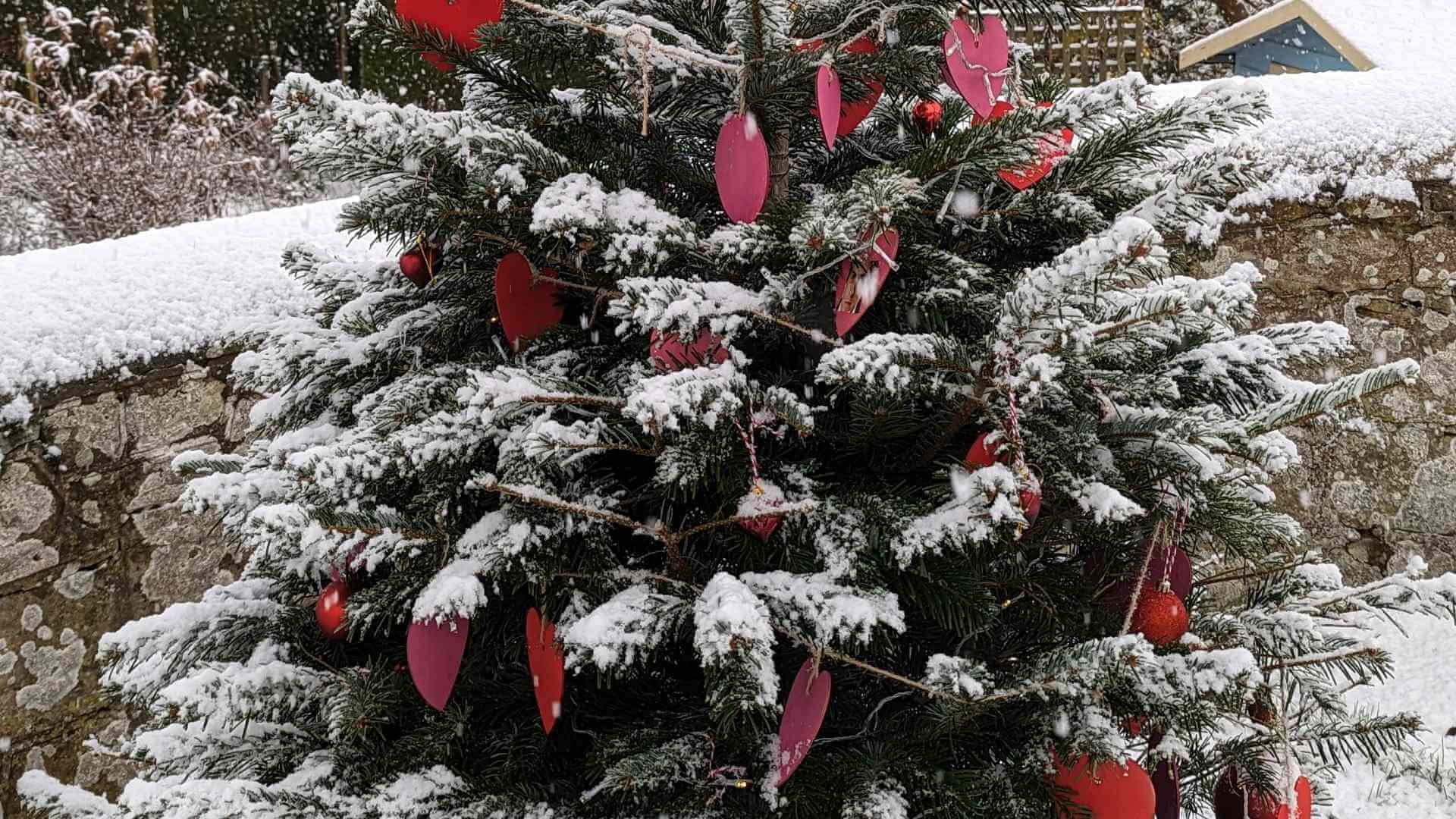Ford & Etal Christmas Market