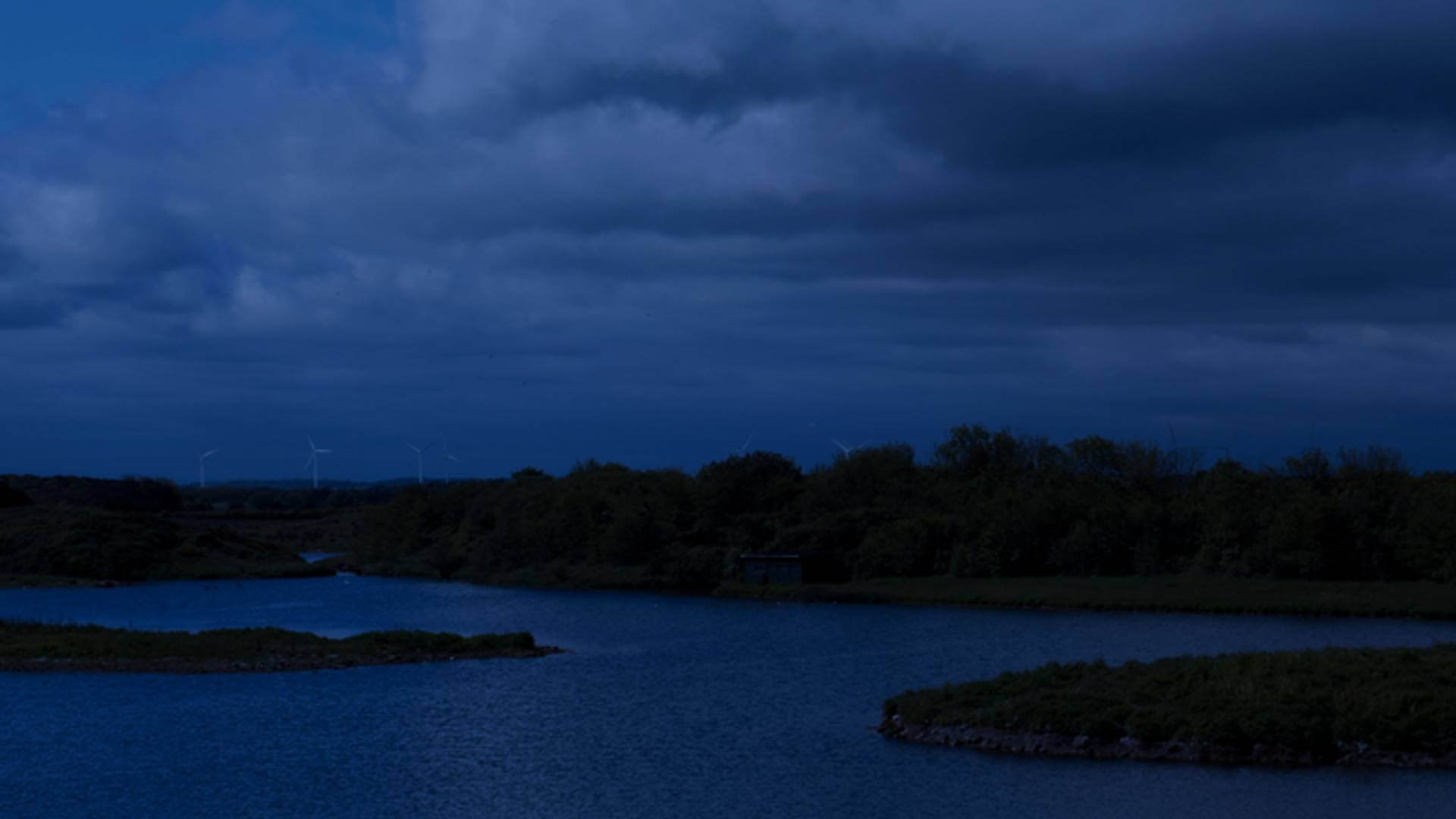 Halloween's Nocturnal Wonders