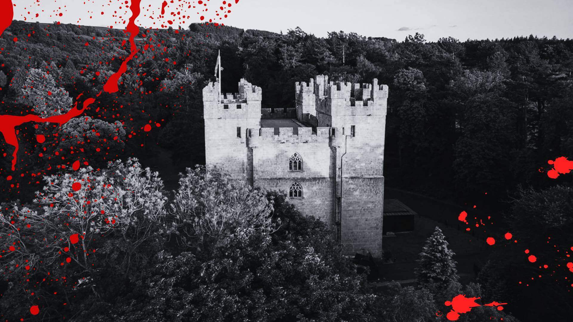 Murder Beyond The Manor - Murder Mystery
