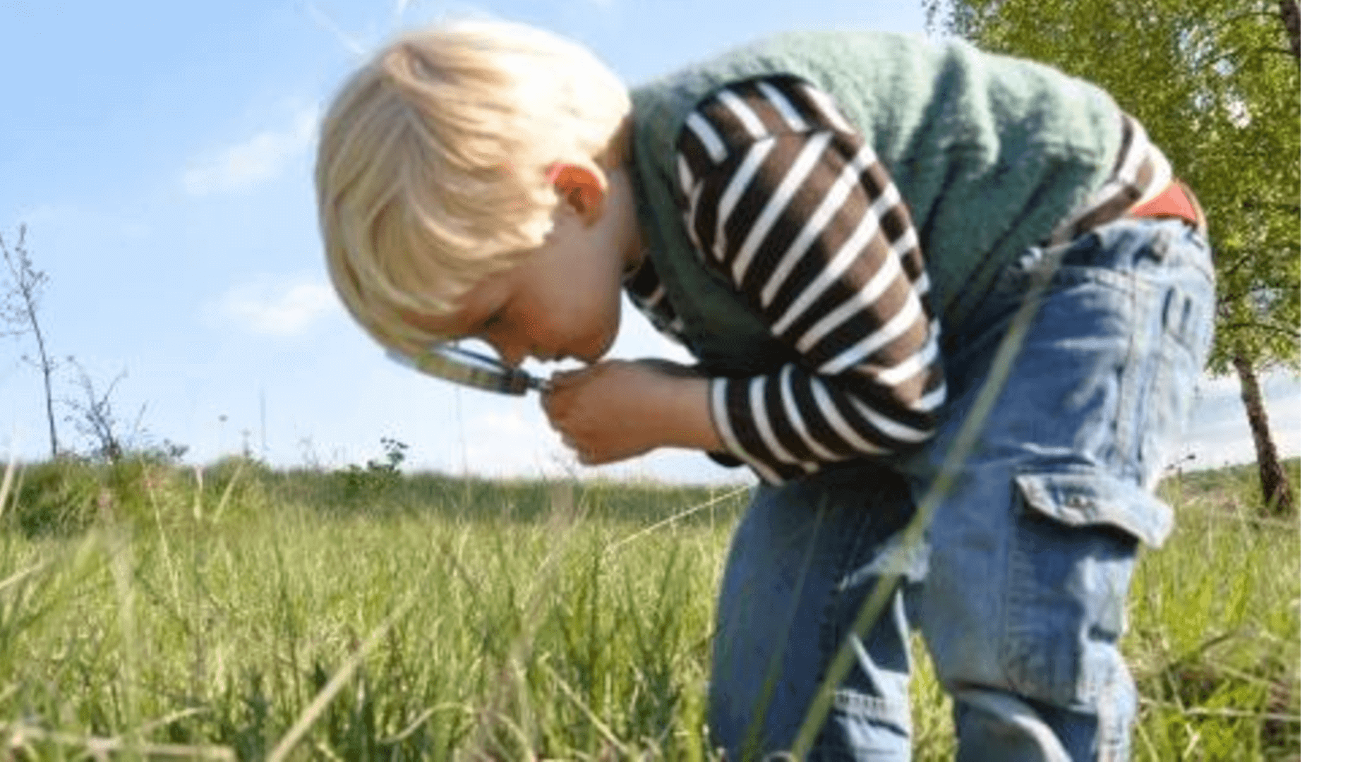 Family activity: minibeast safari