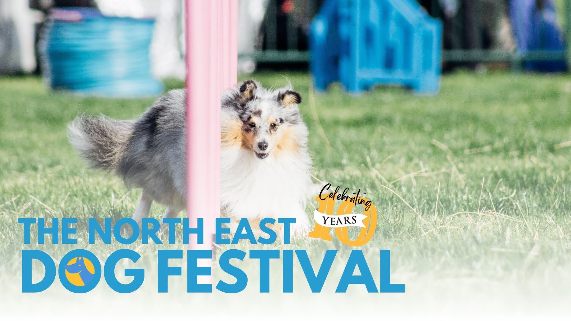 The North East Dog Festival