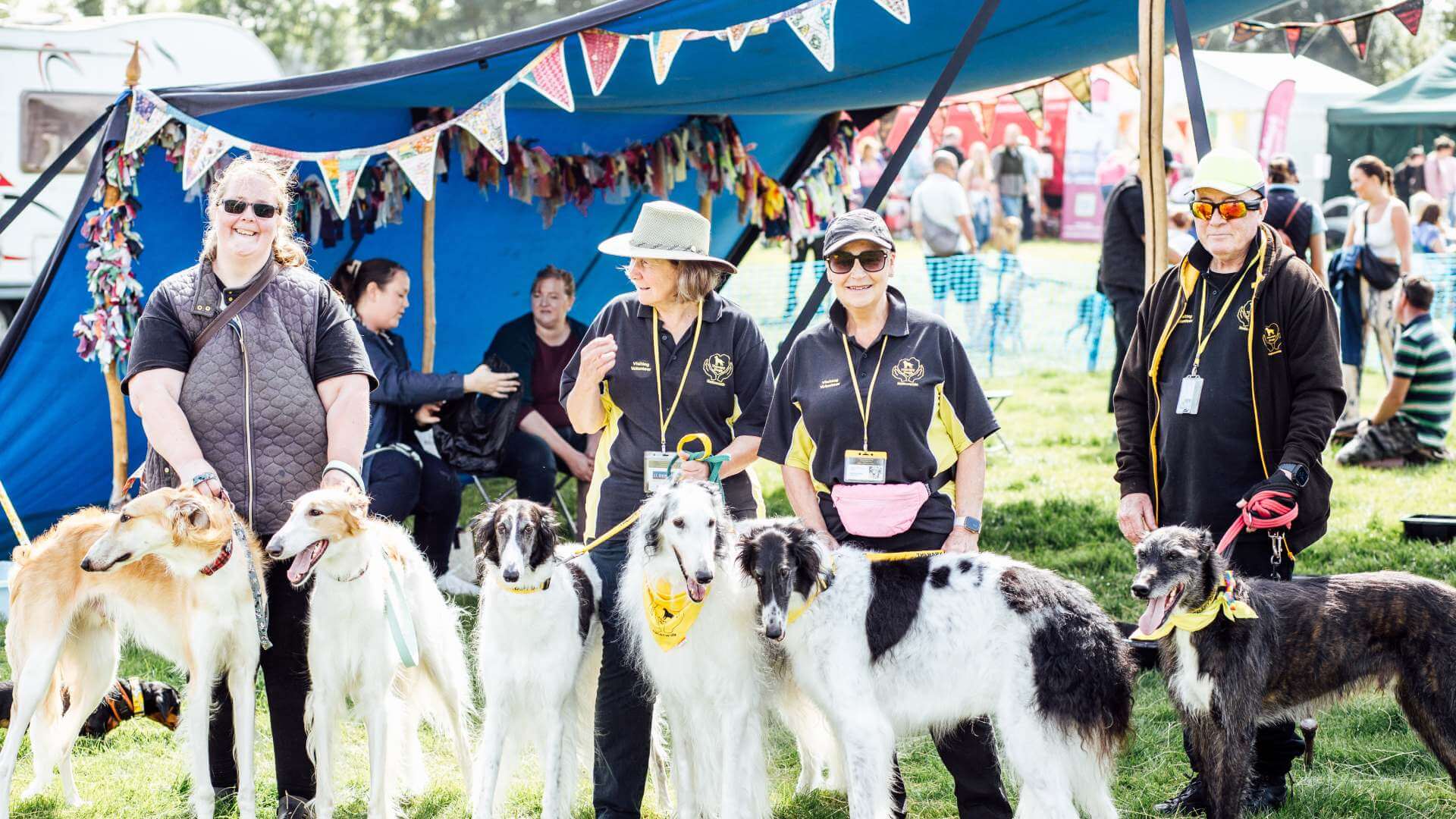 The North East Dog Festival