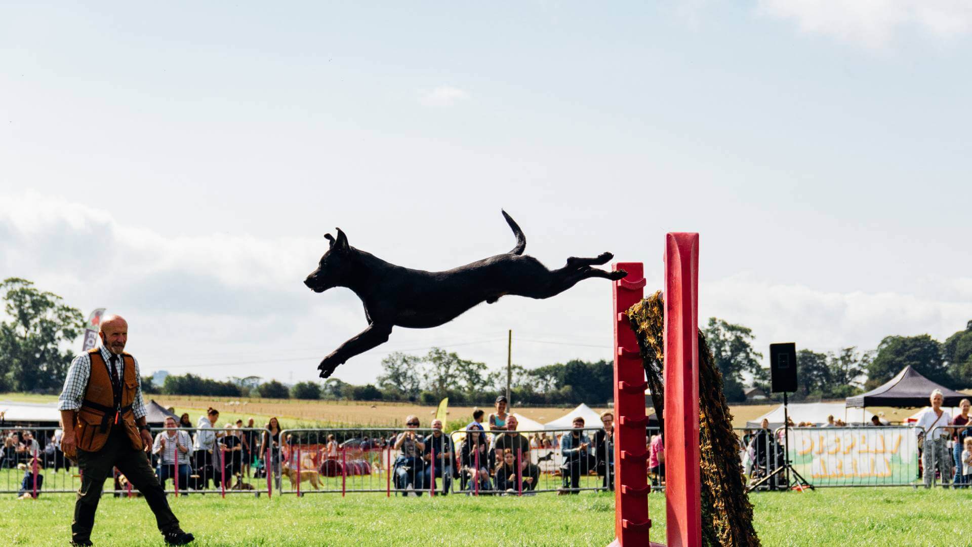The North East Dog Festival
