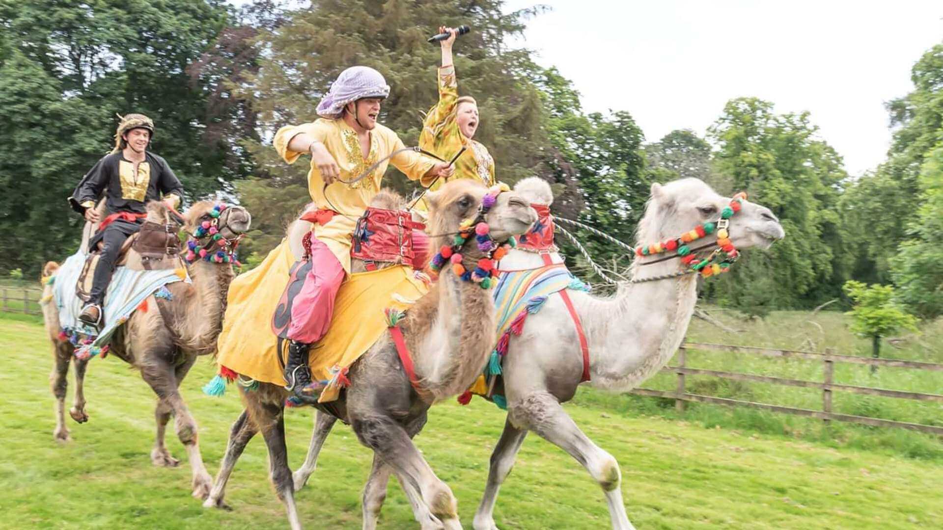 Camel racing at the County Show