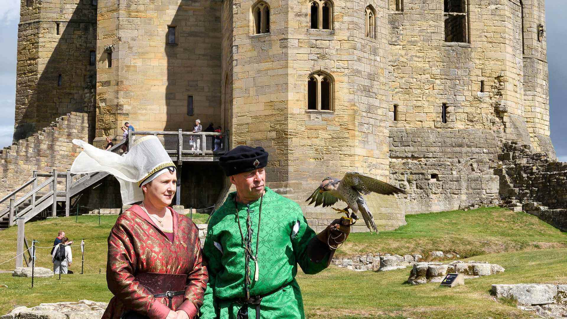 Falconry at Warkworth Castle