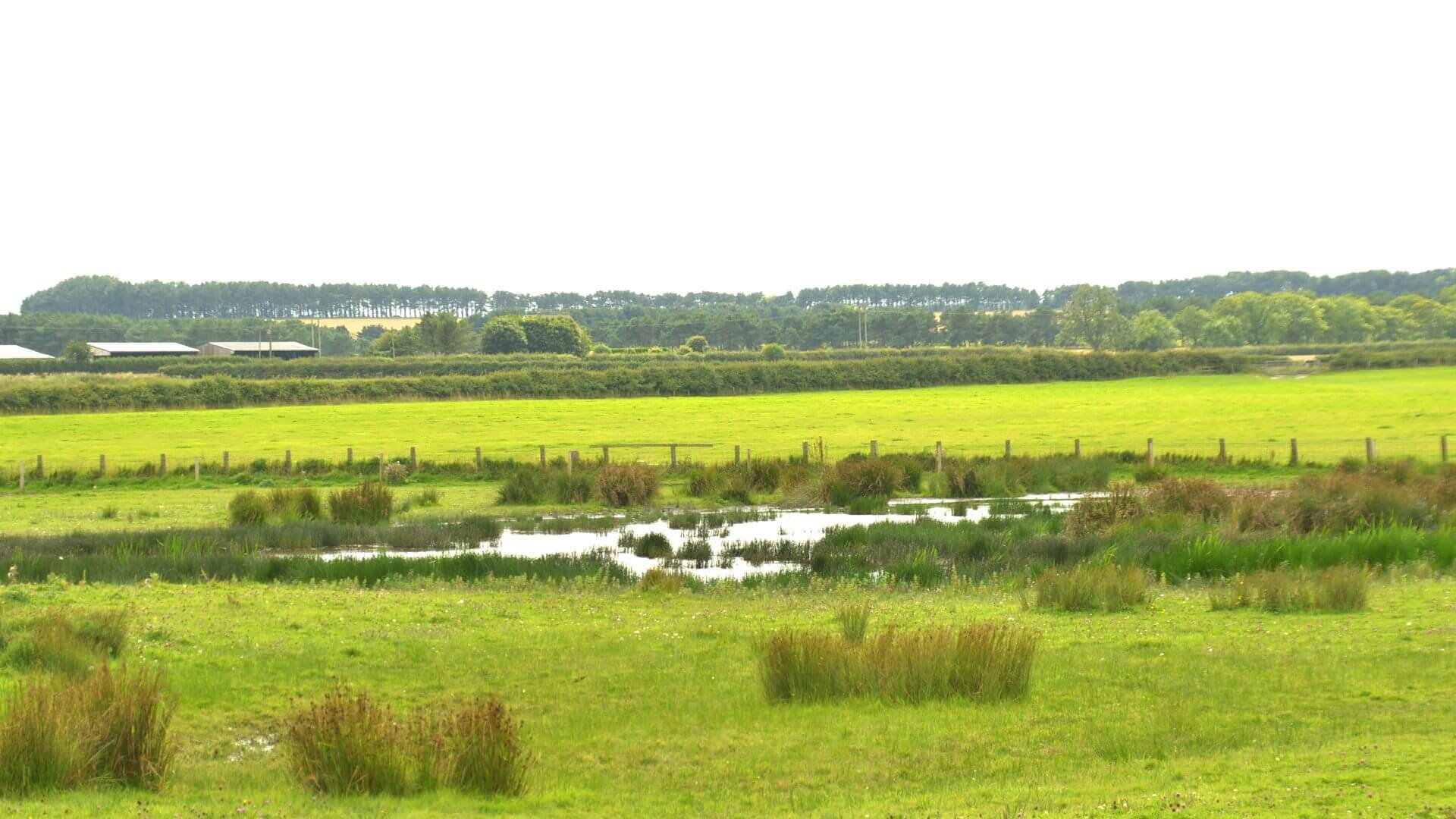 Nature and Wellbeing Course at Woodhorn