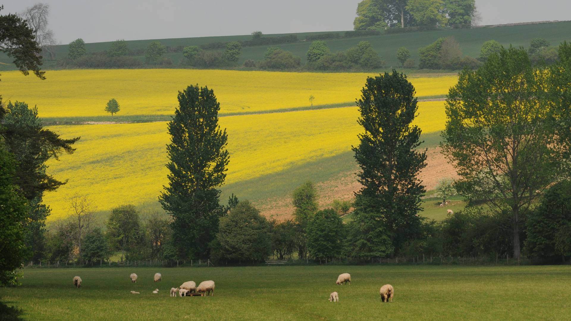 West Chevington wander