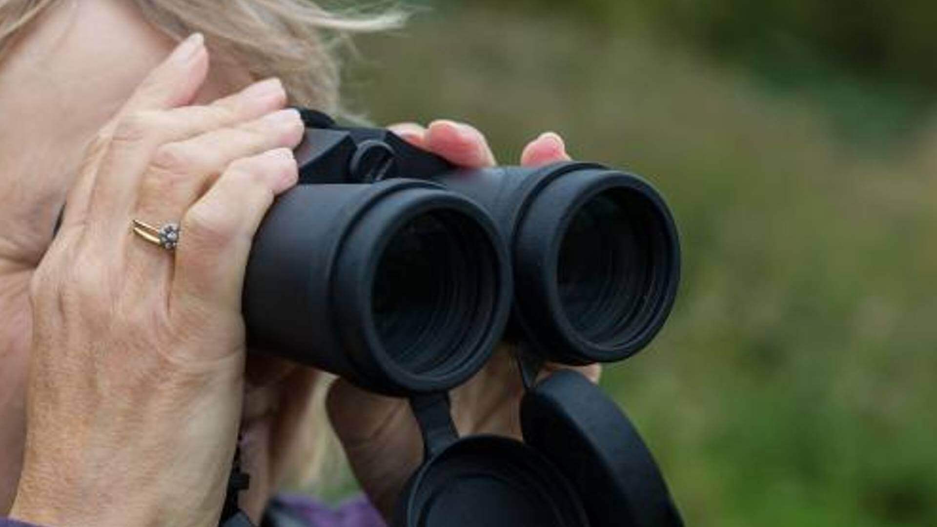 Guide in the Hide