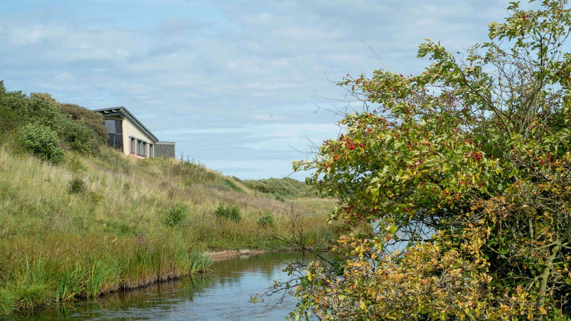 Hauxley Reserve