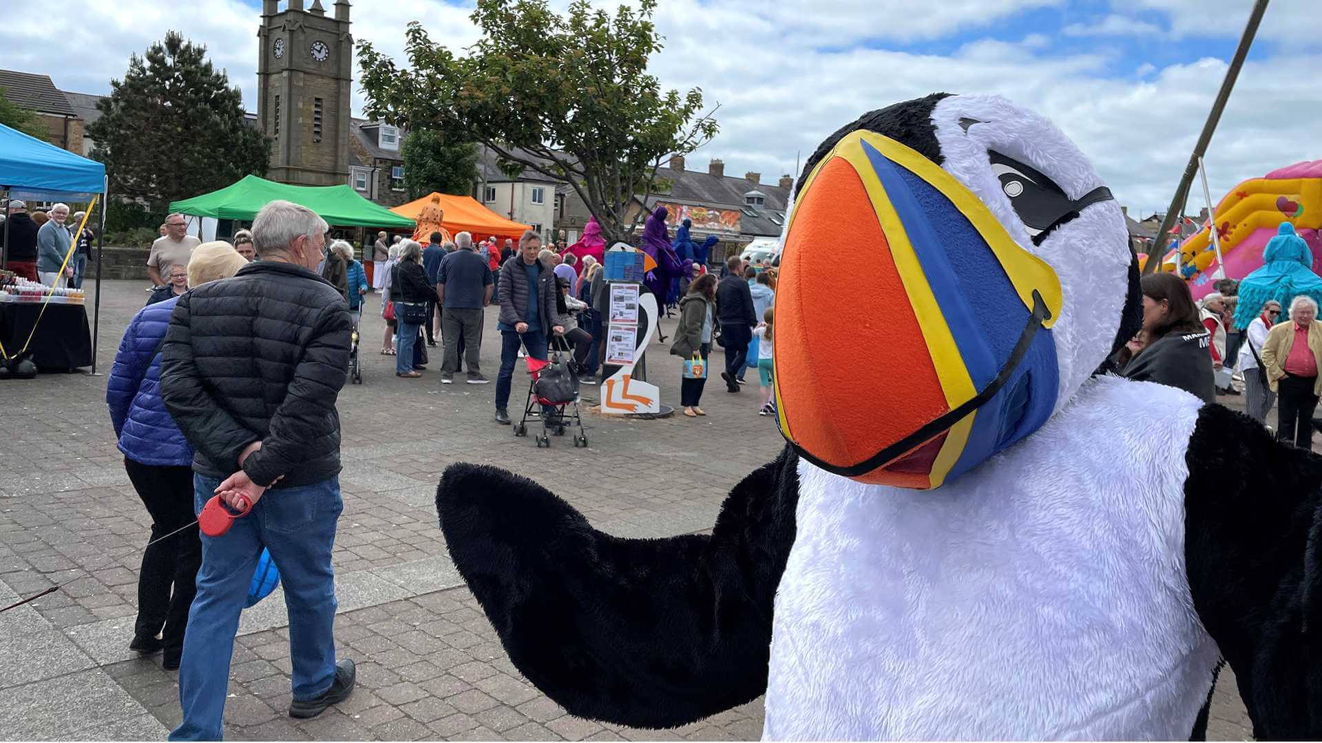 Amble Puffin Festival