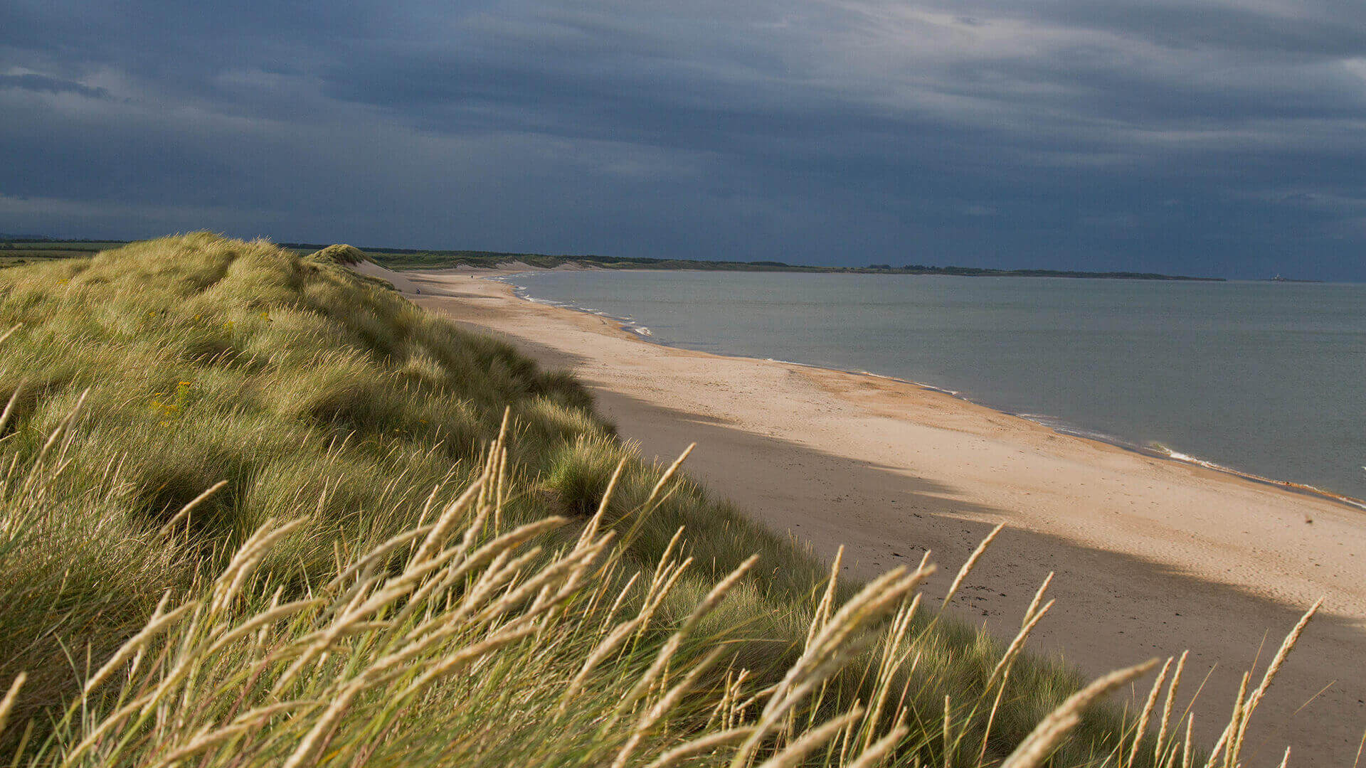 Druridge Bay