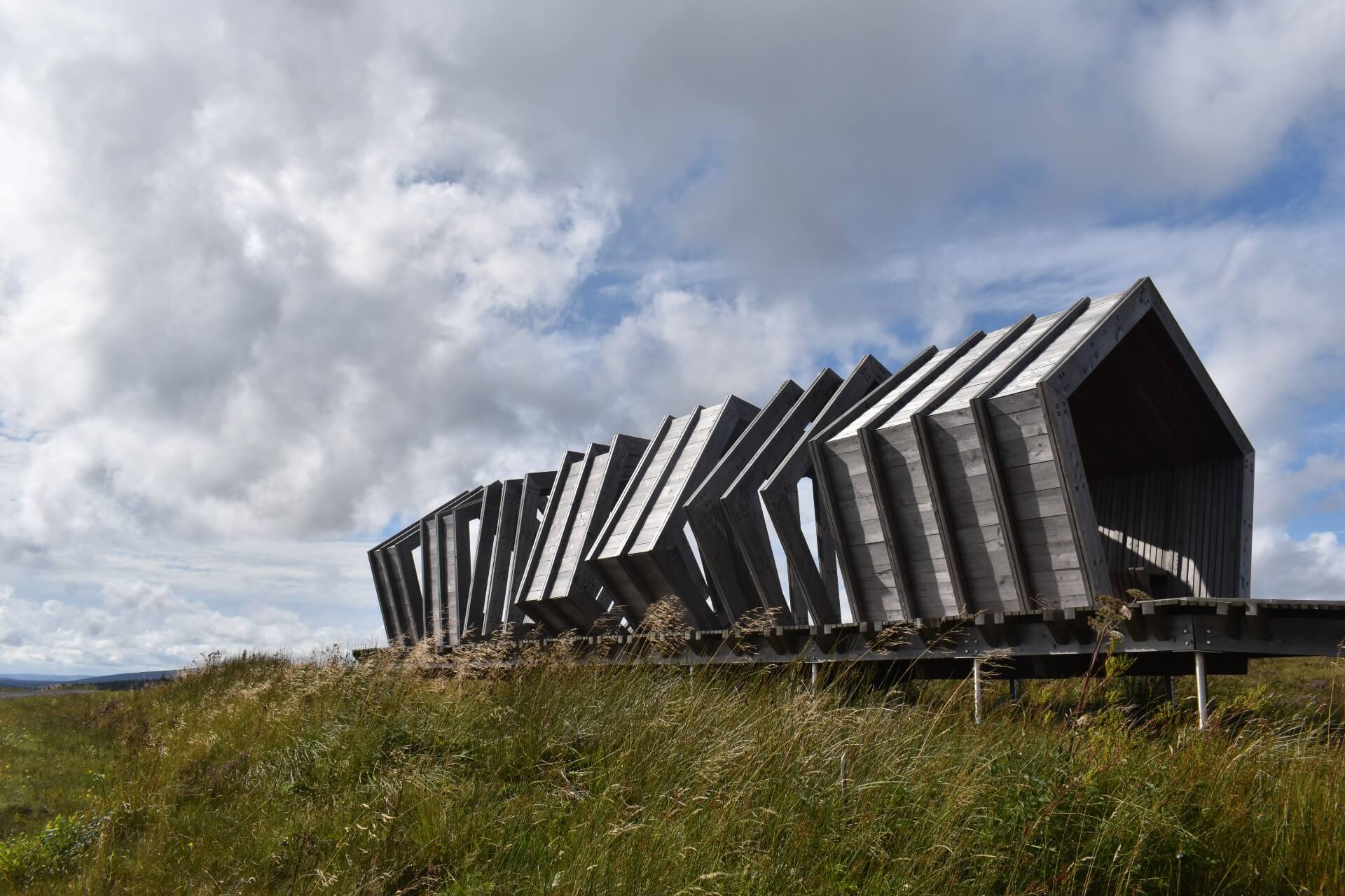 Kielder Forest Drive