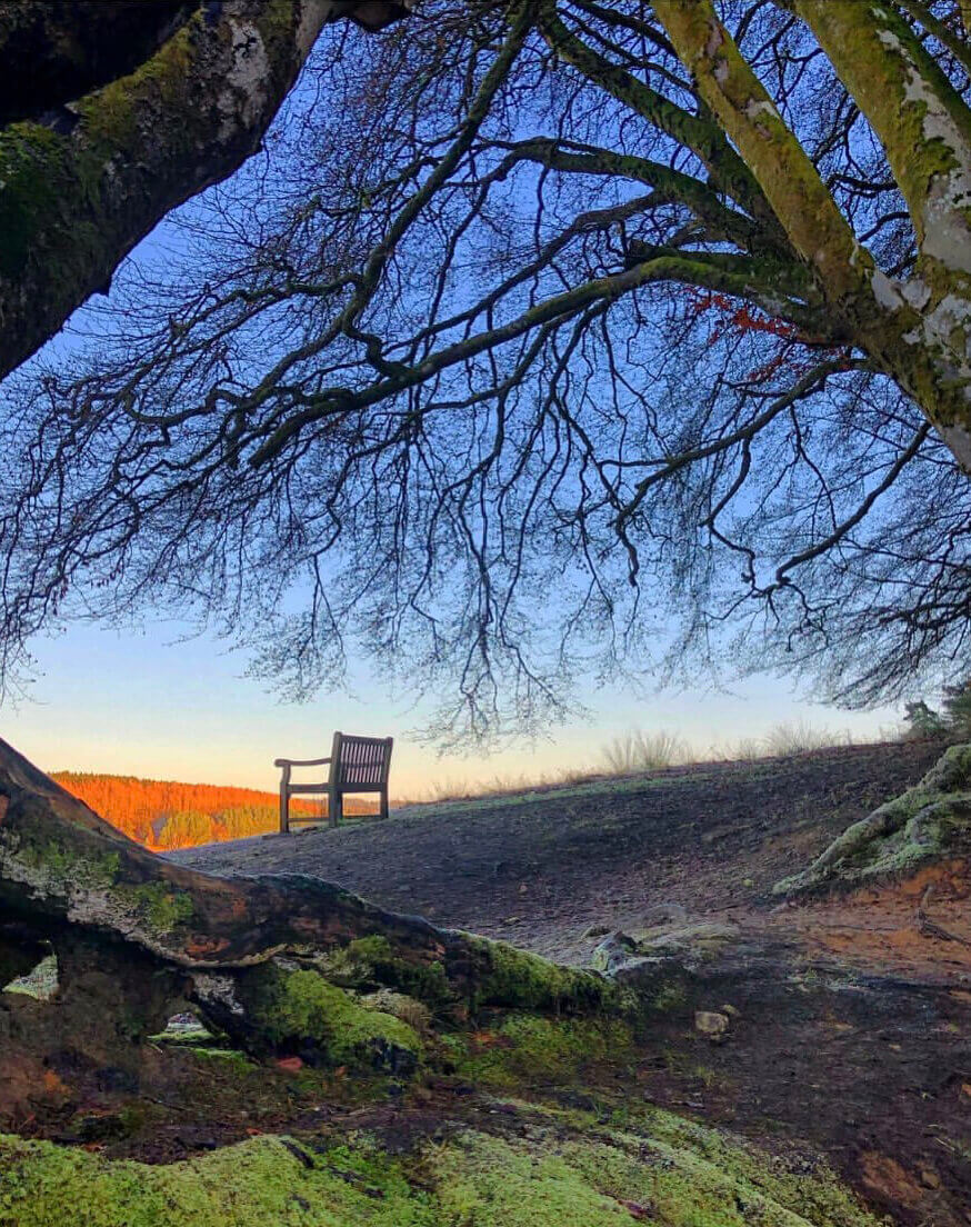 Kielder Forest - Right Image