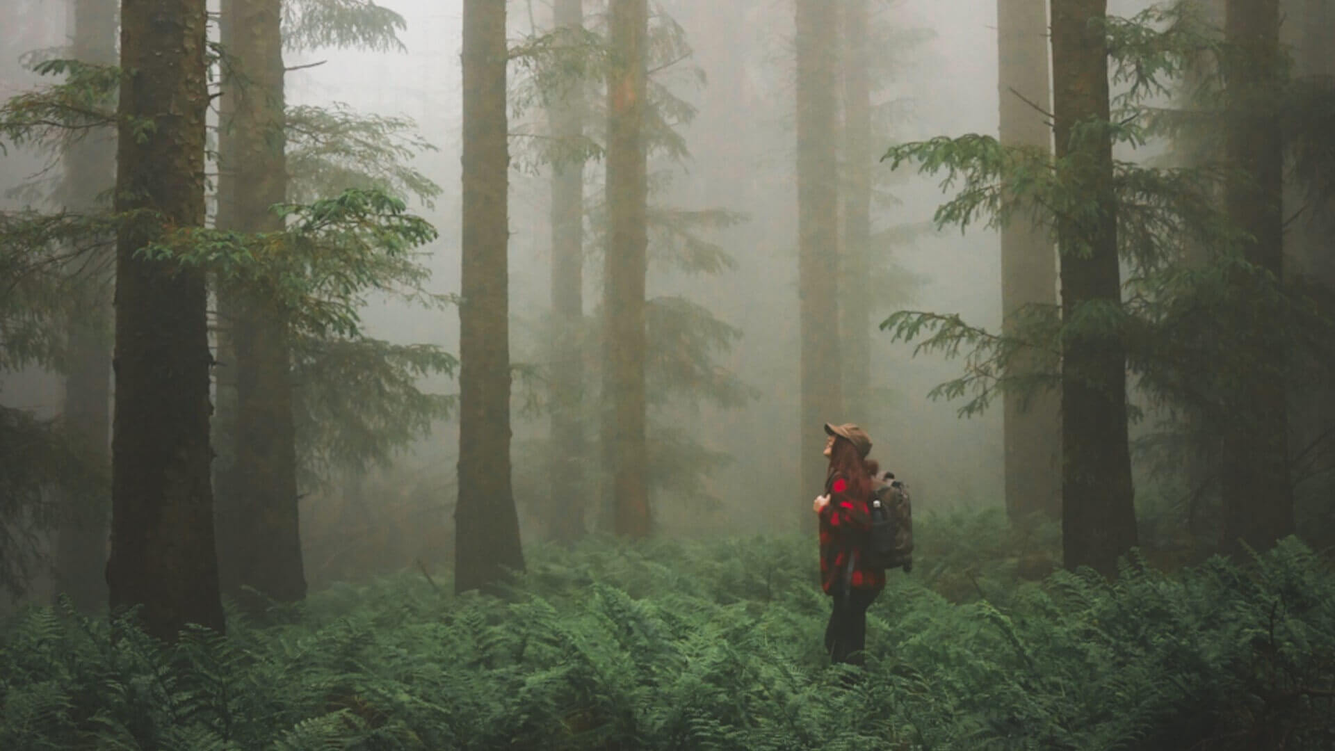 Walker in Kielder Forest