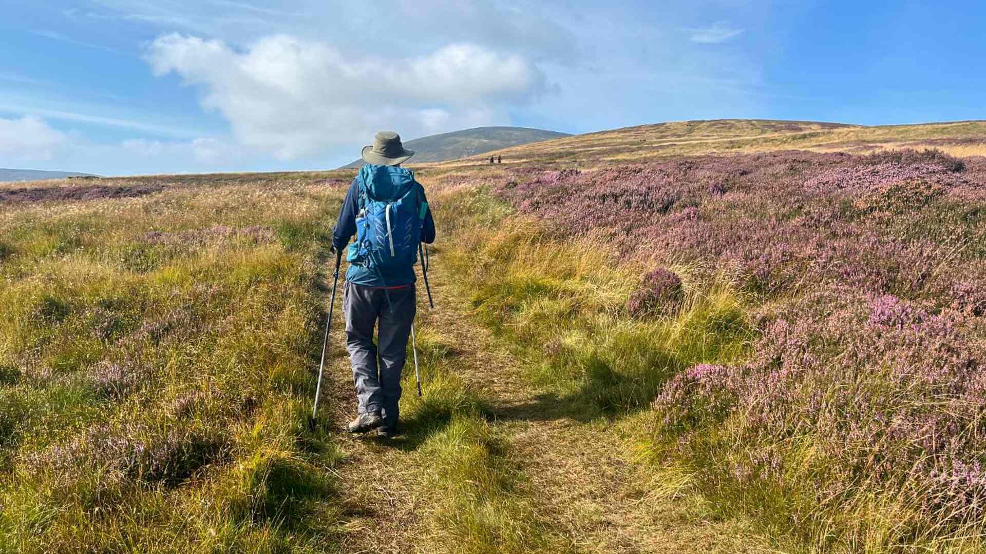 Hiker on the Cheviots
