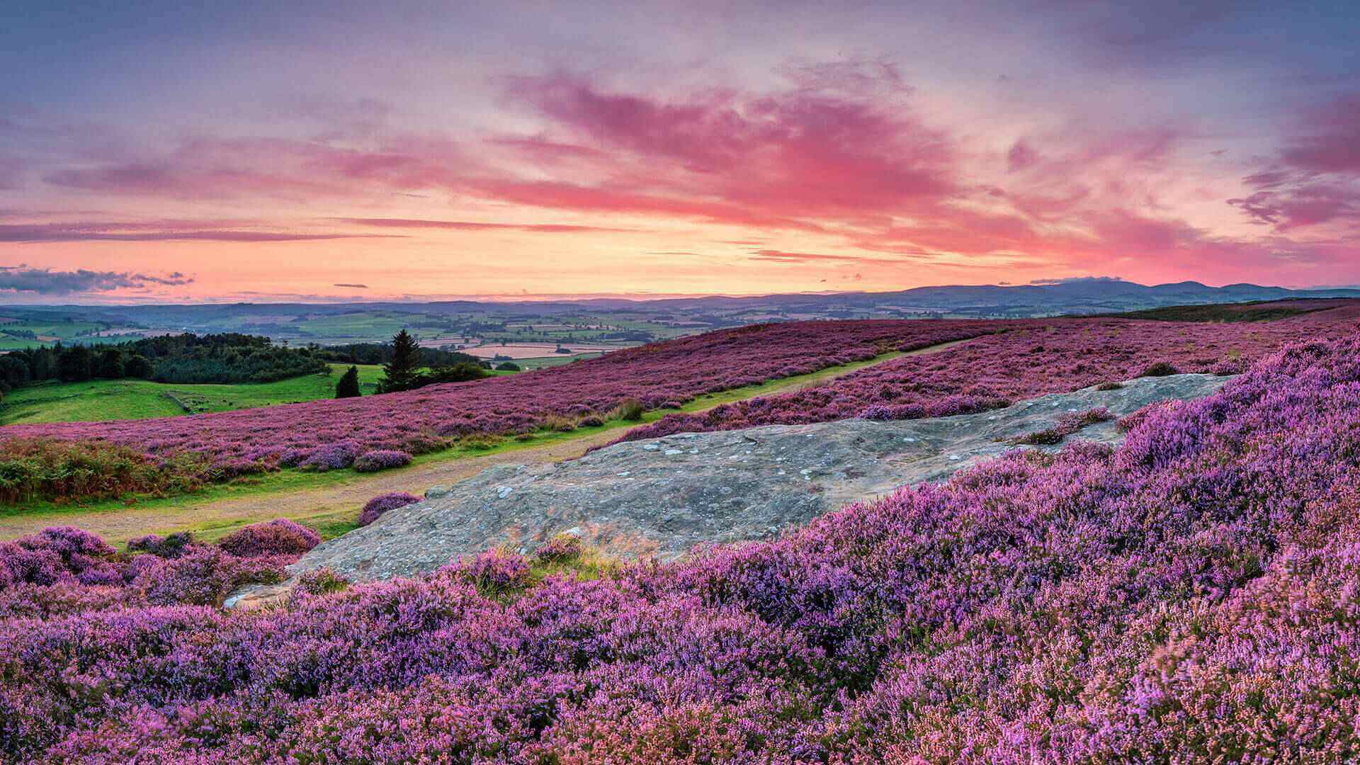 Coquet Valley