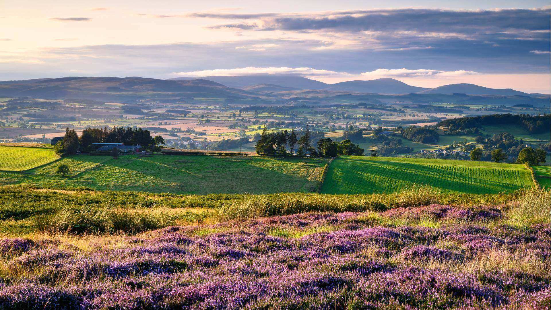Explore Northumberland's Countryside | Visit Northumberland
