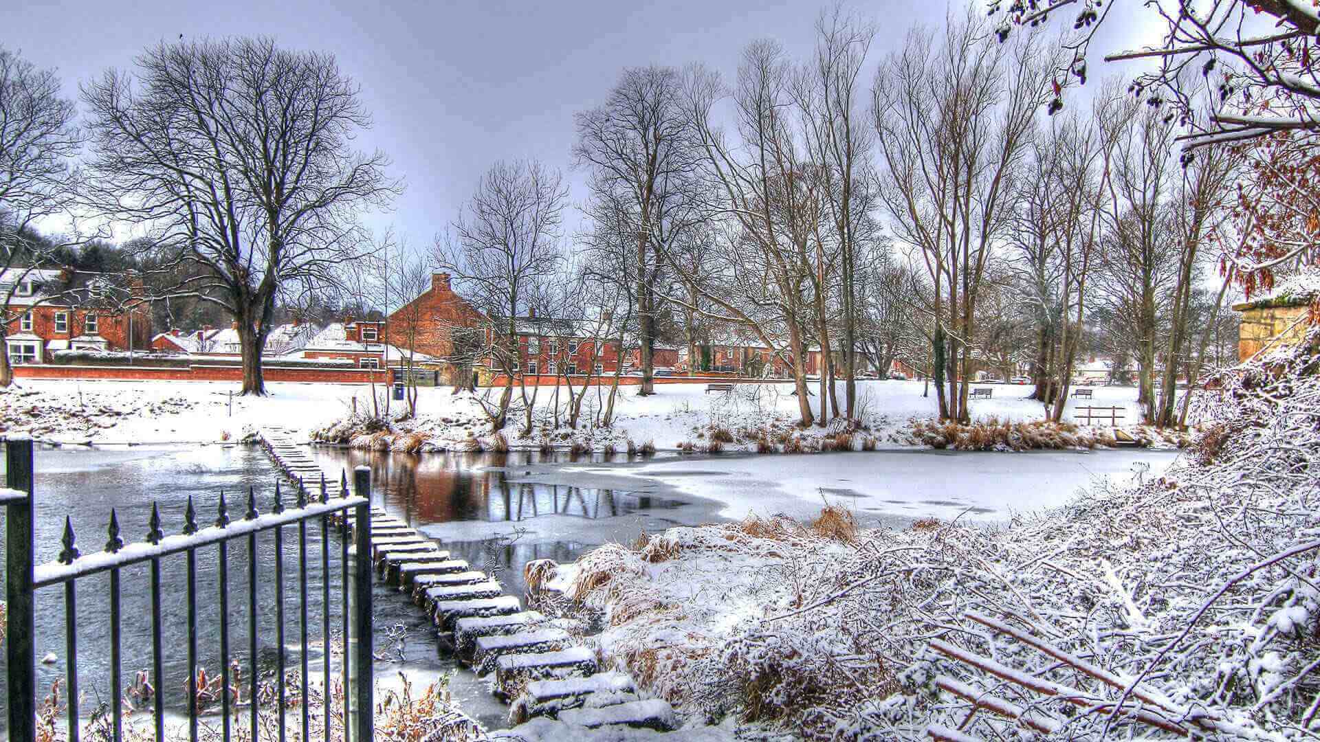 Winter