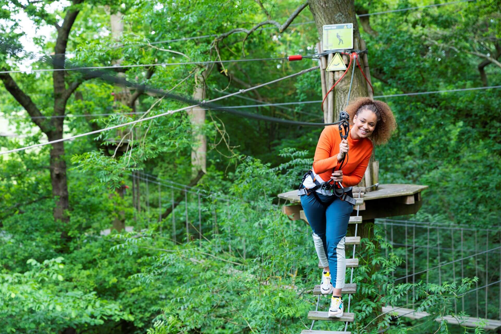 Treetop bridge