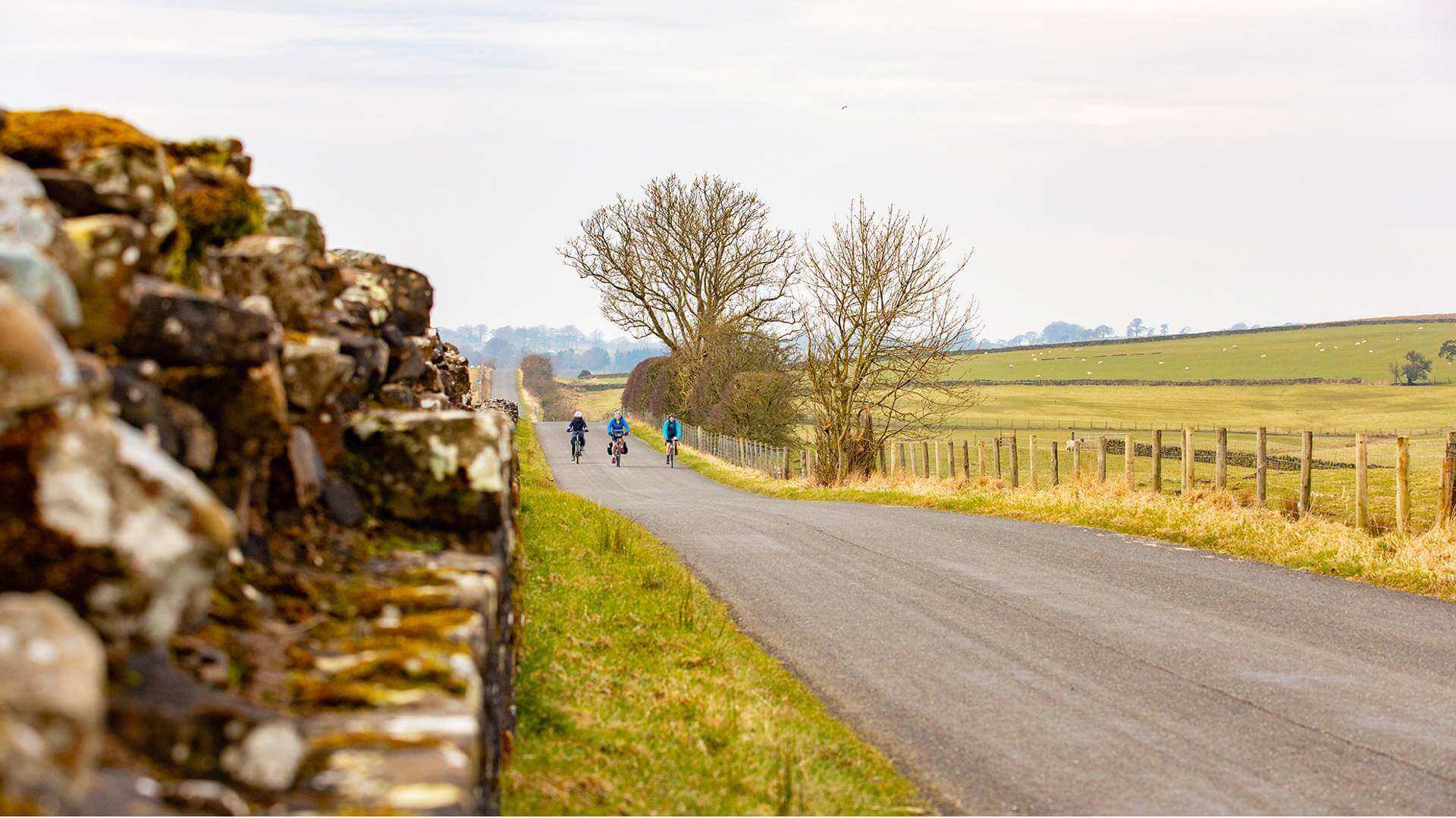 Cyclists at Hadrian's Wall