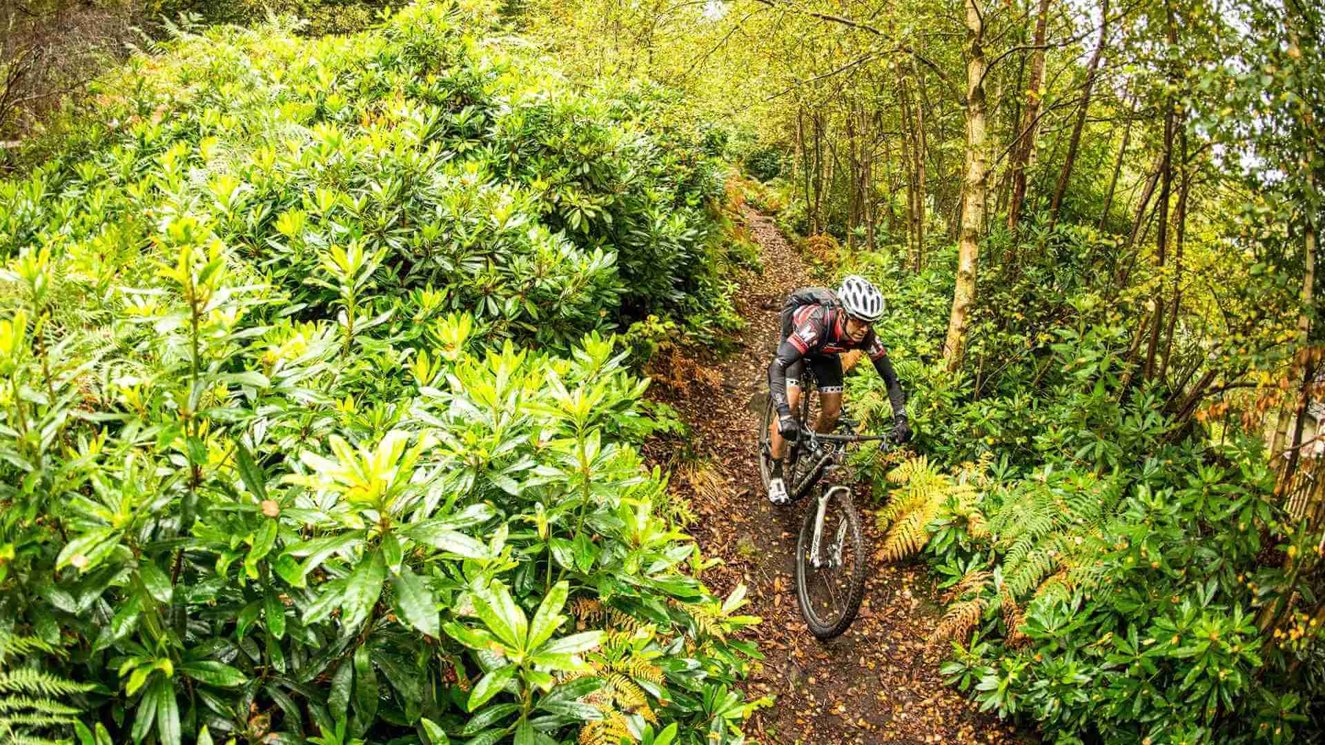 Mountain biking holidays
