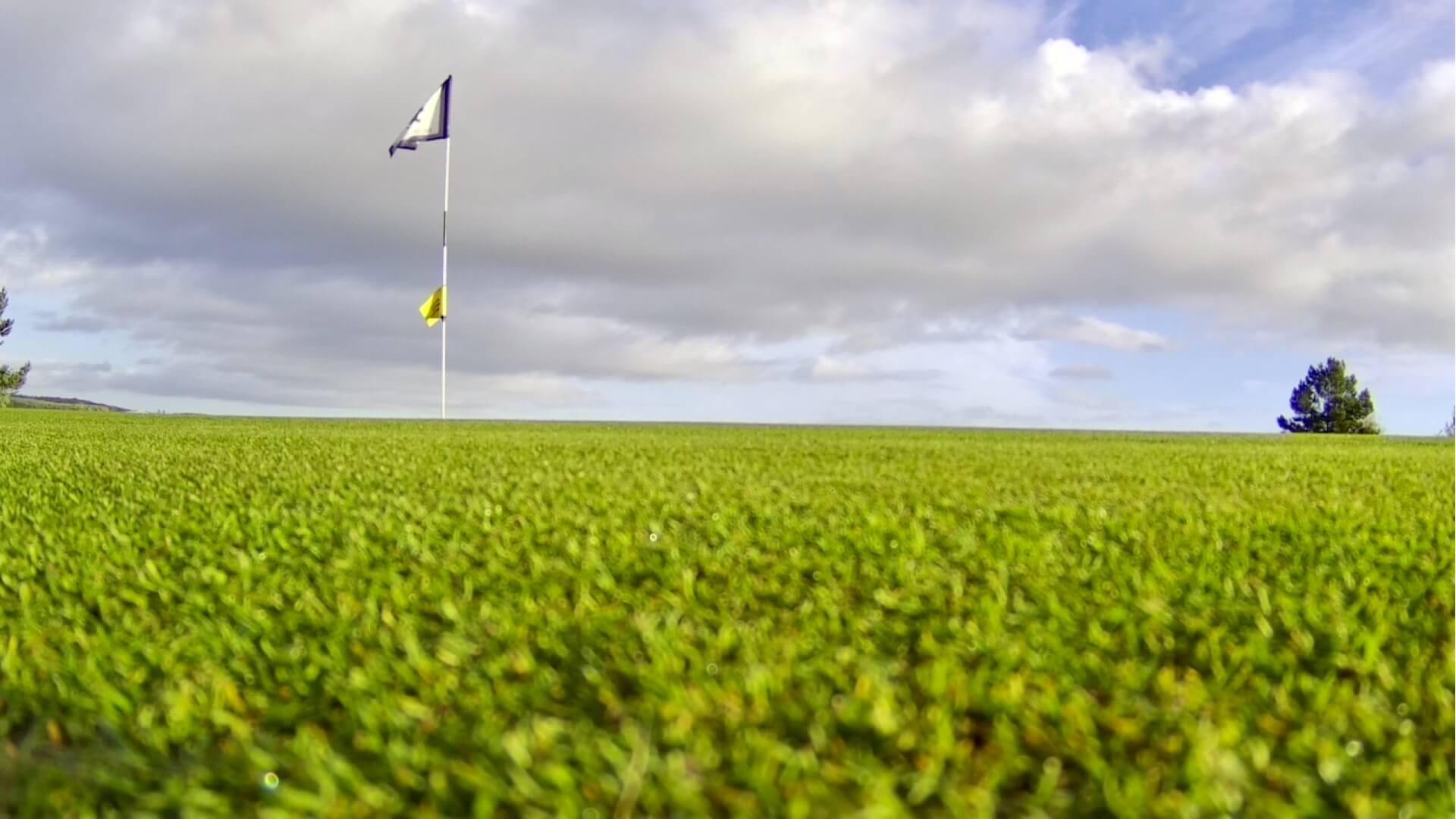 longhirst-golf-club-green