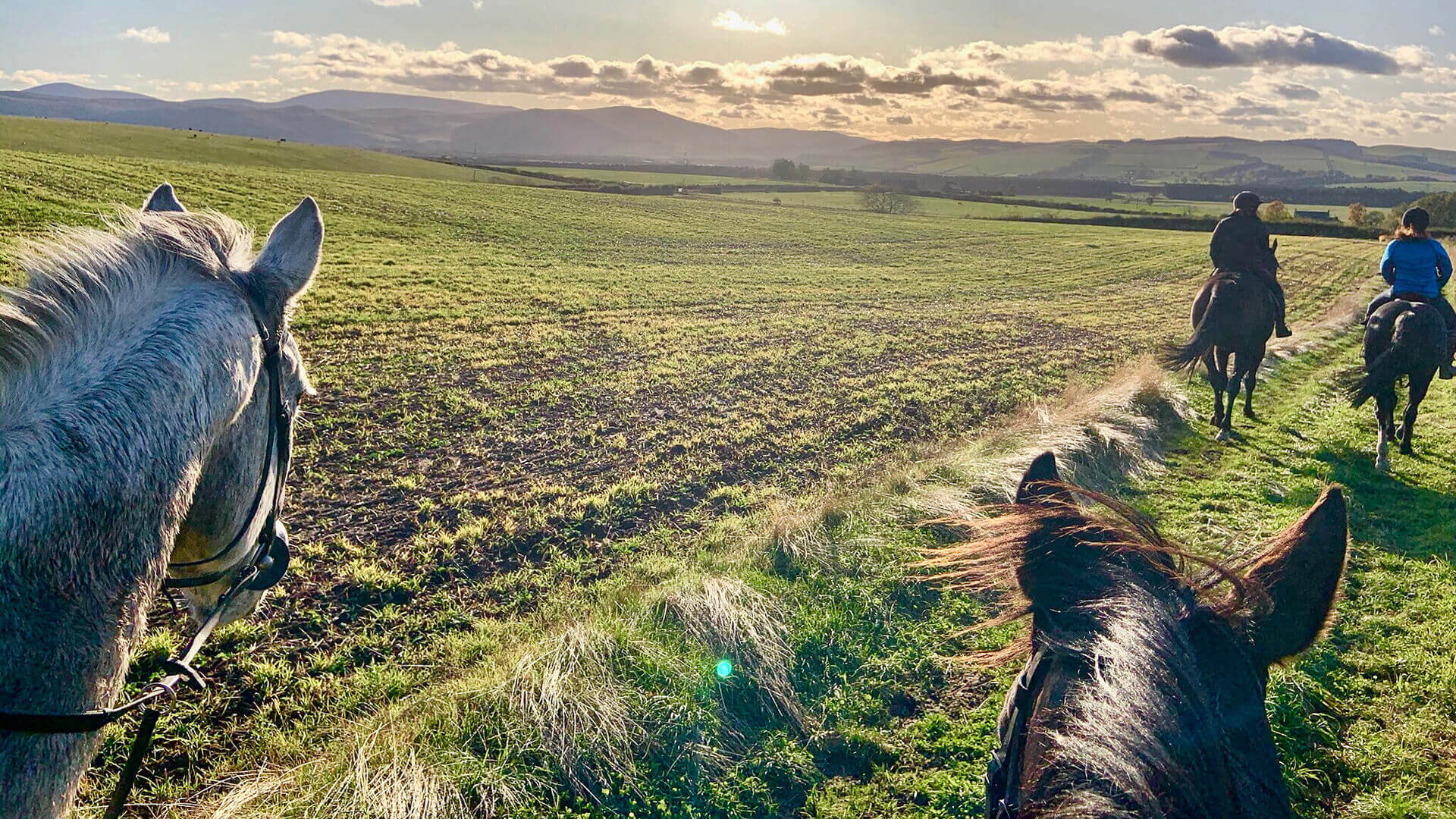 Horse Riding in Northumberland | Visit Northumberland