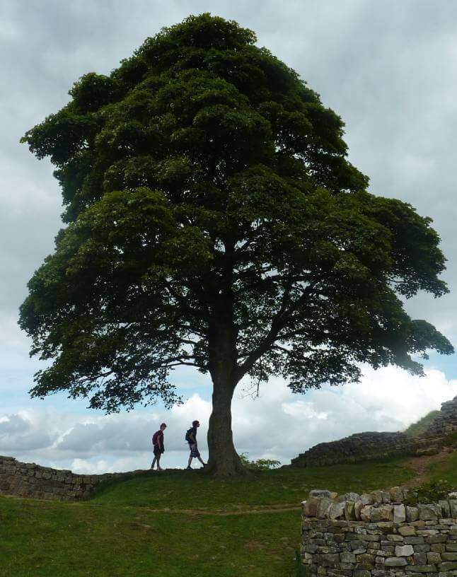 Vindolanda & Hadrian