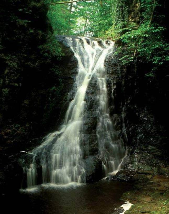 Hareshaw Linn Walk