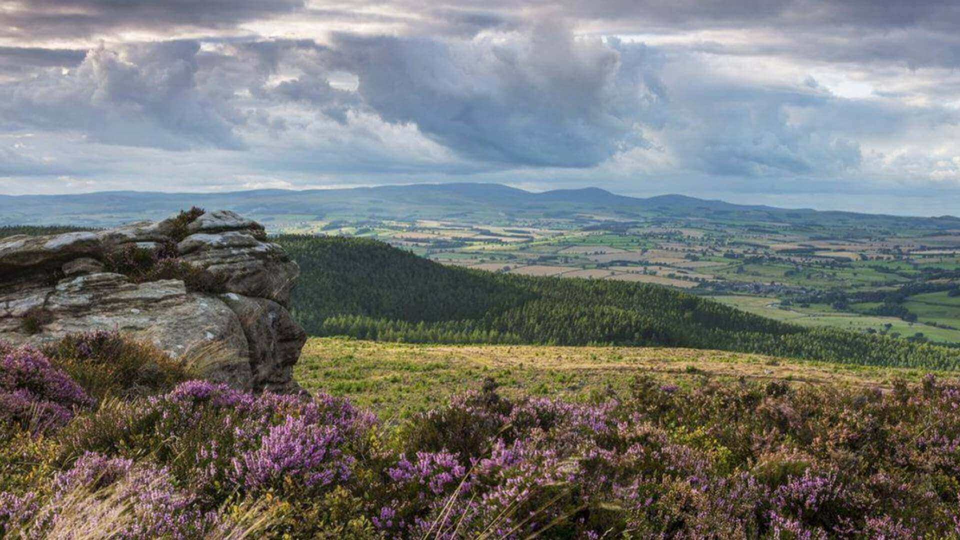 The Simonside Hills