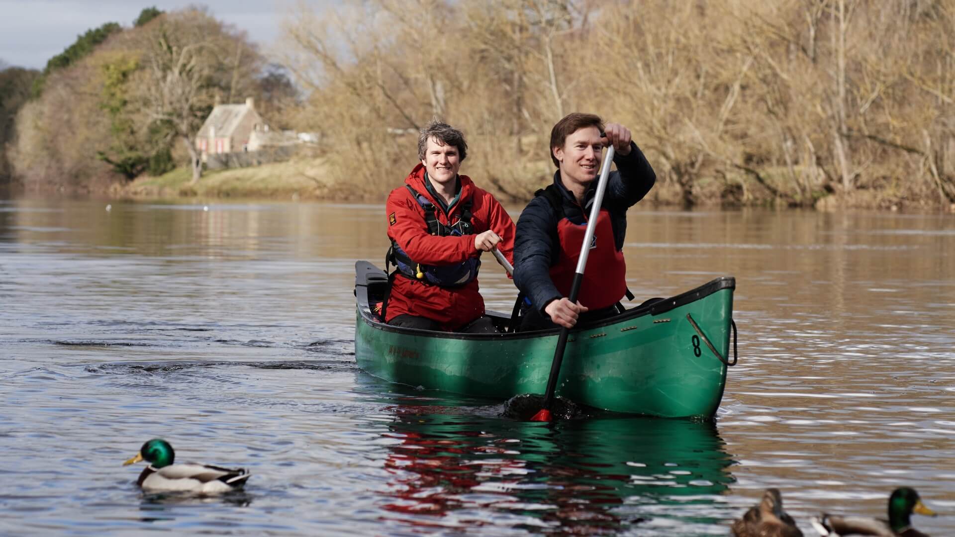 Alongside ducks