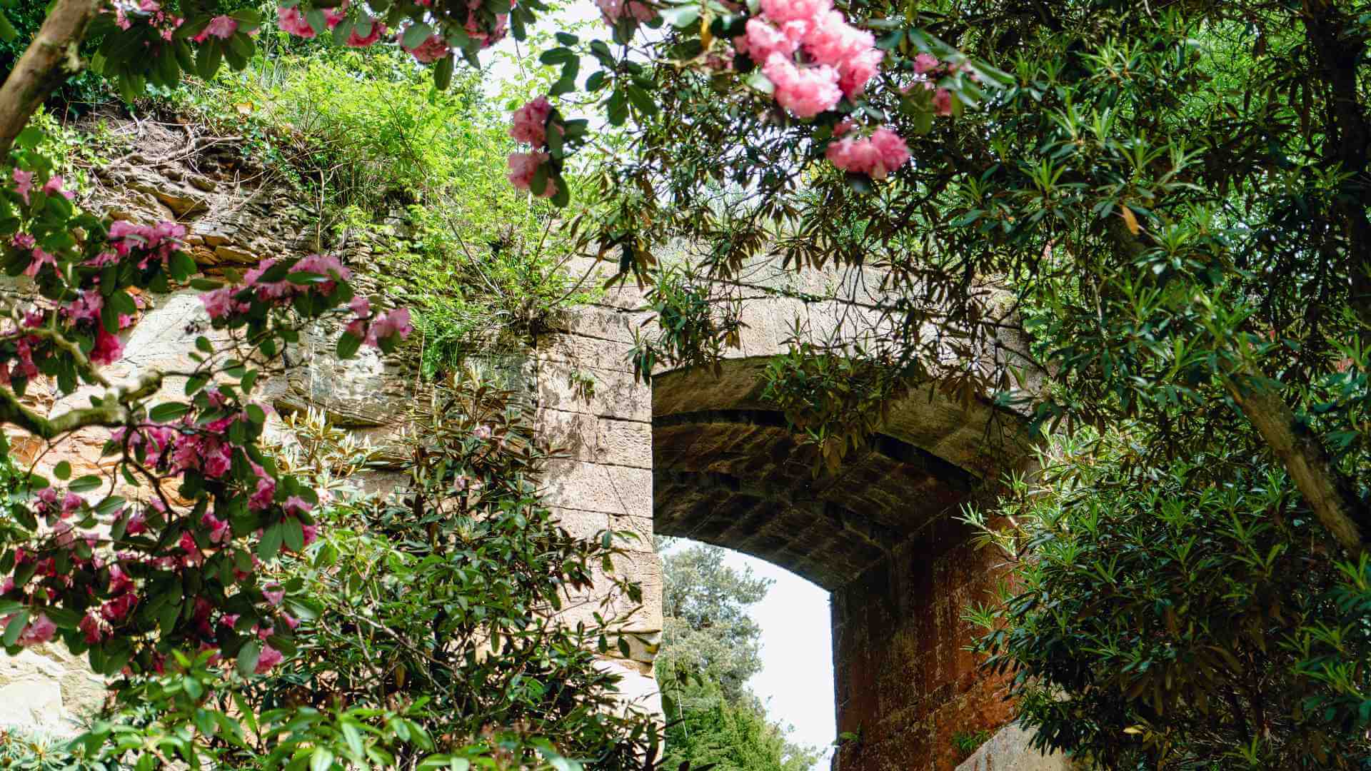 Belsay Hall archway