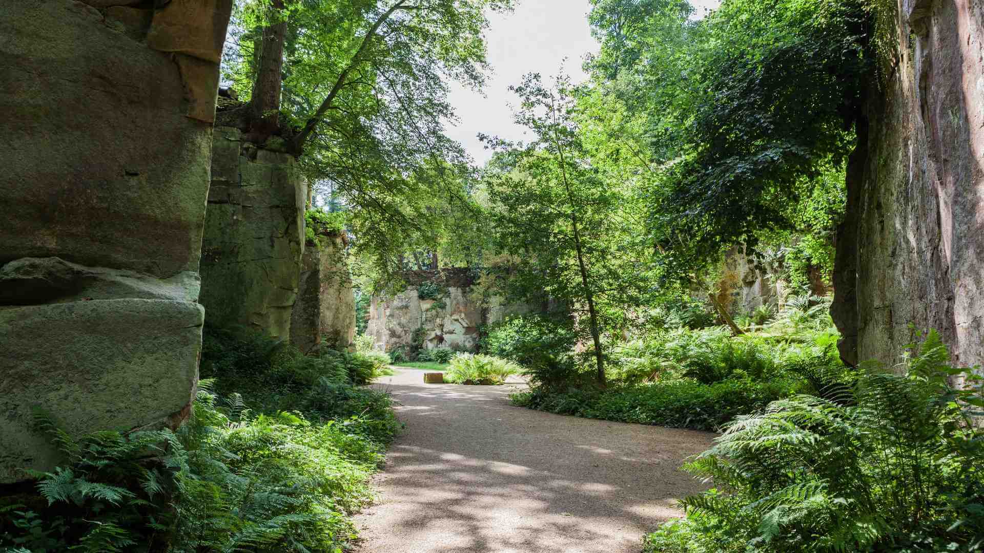 Belsay Quarry Garden