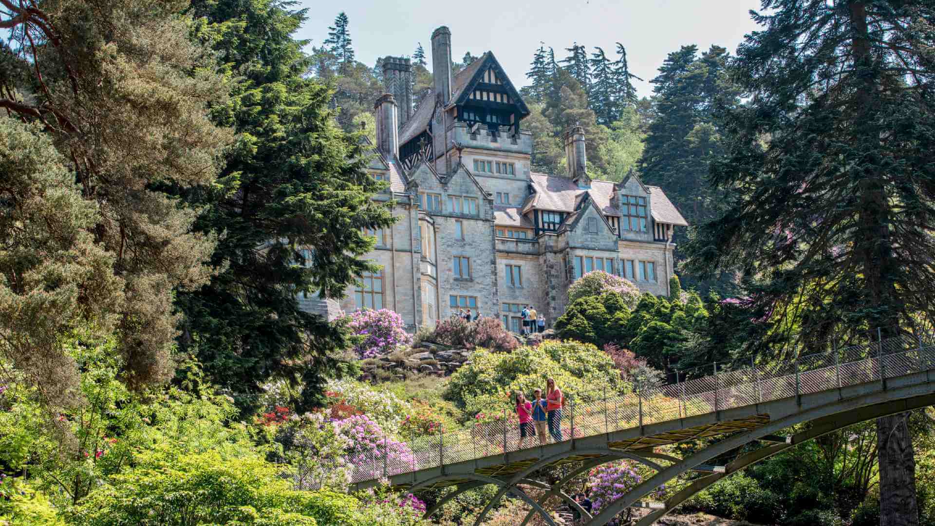 Cragside Iron Bridge