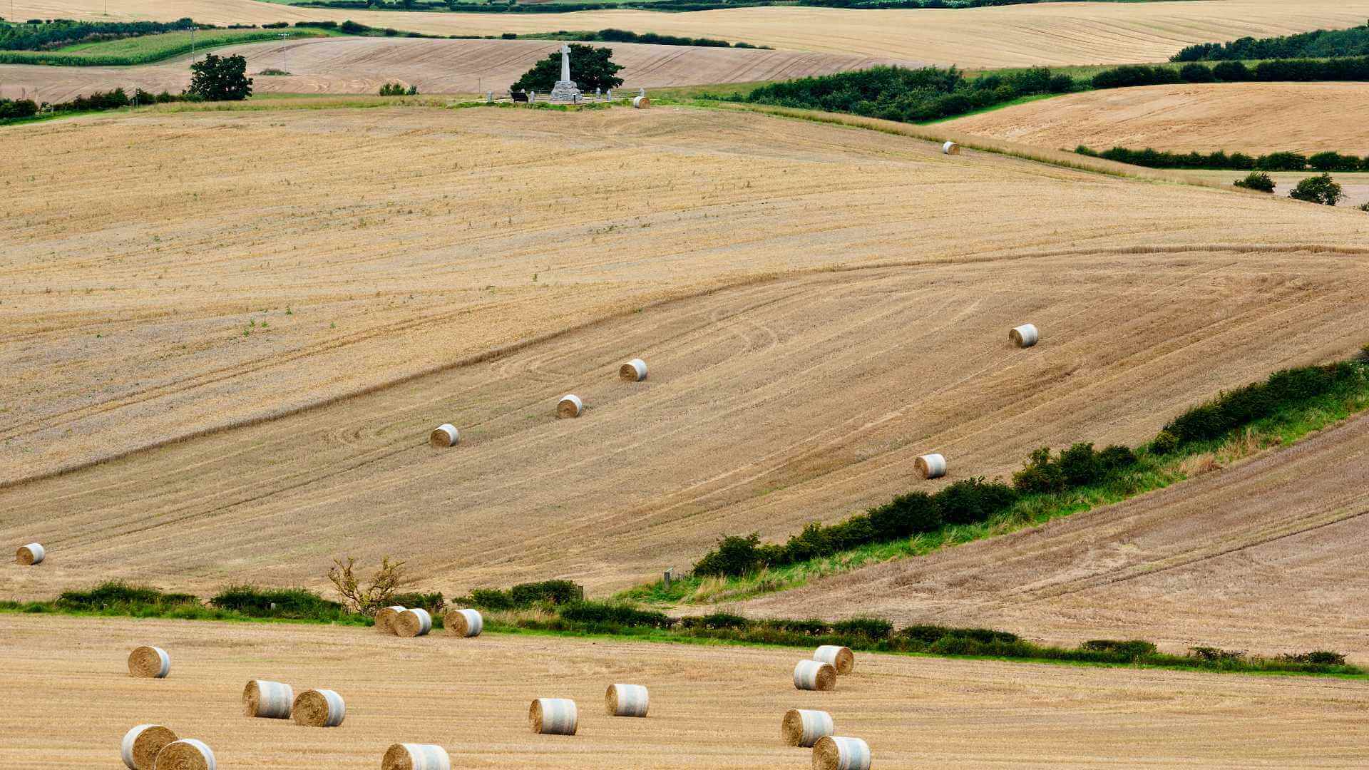 Flodden field