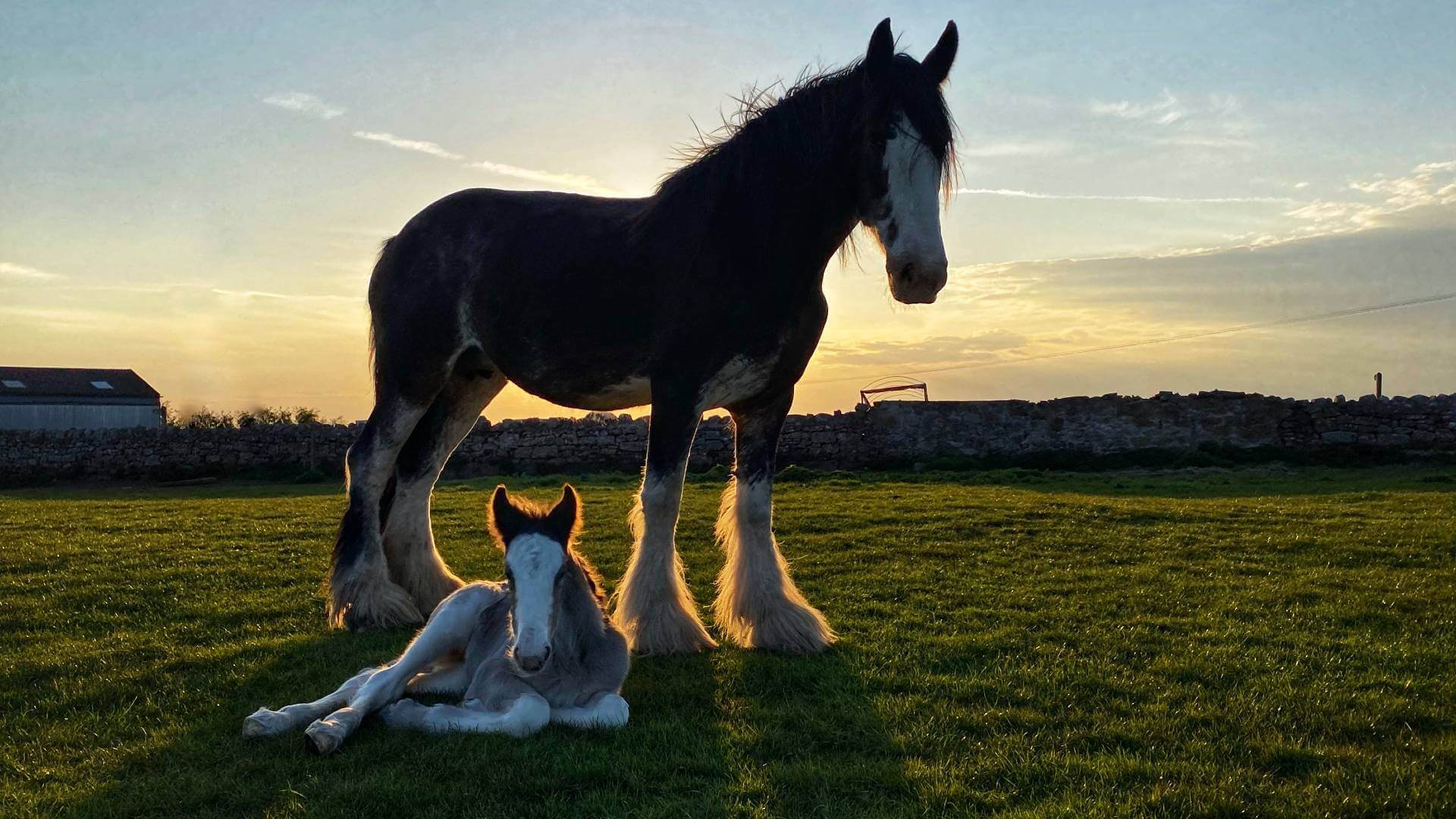 Dorothy and Primrose