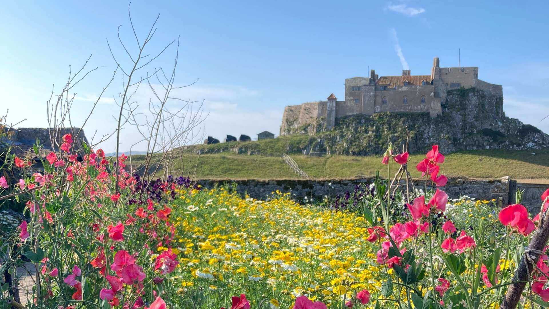 Lindisfarne Castle gardens