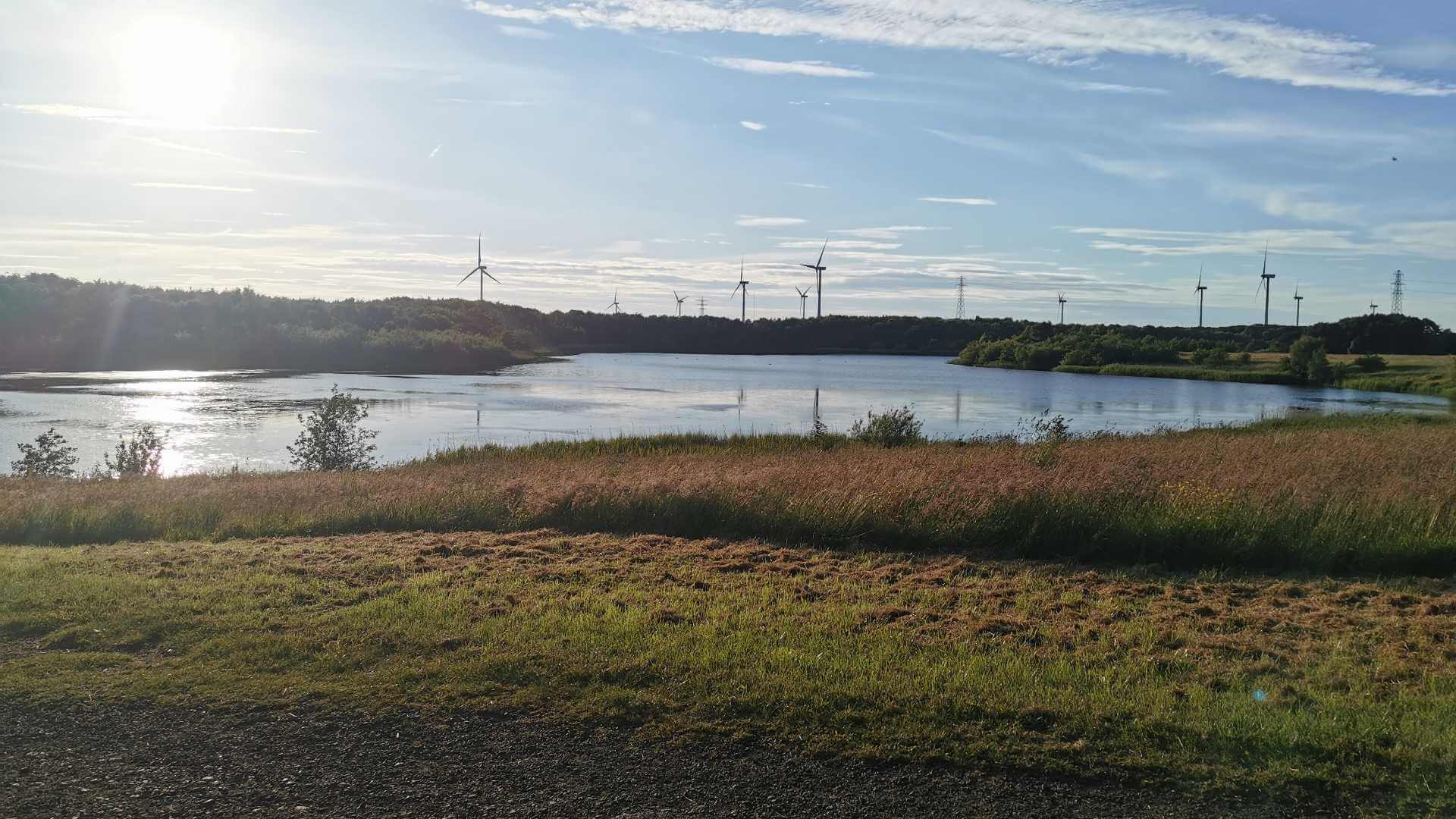 Sun setting at Queen Elizabeth Country Park, Ashington