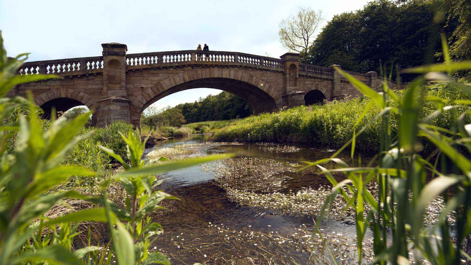 Paine's Bridge