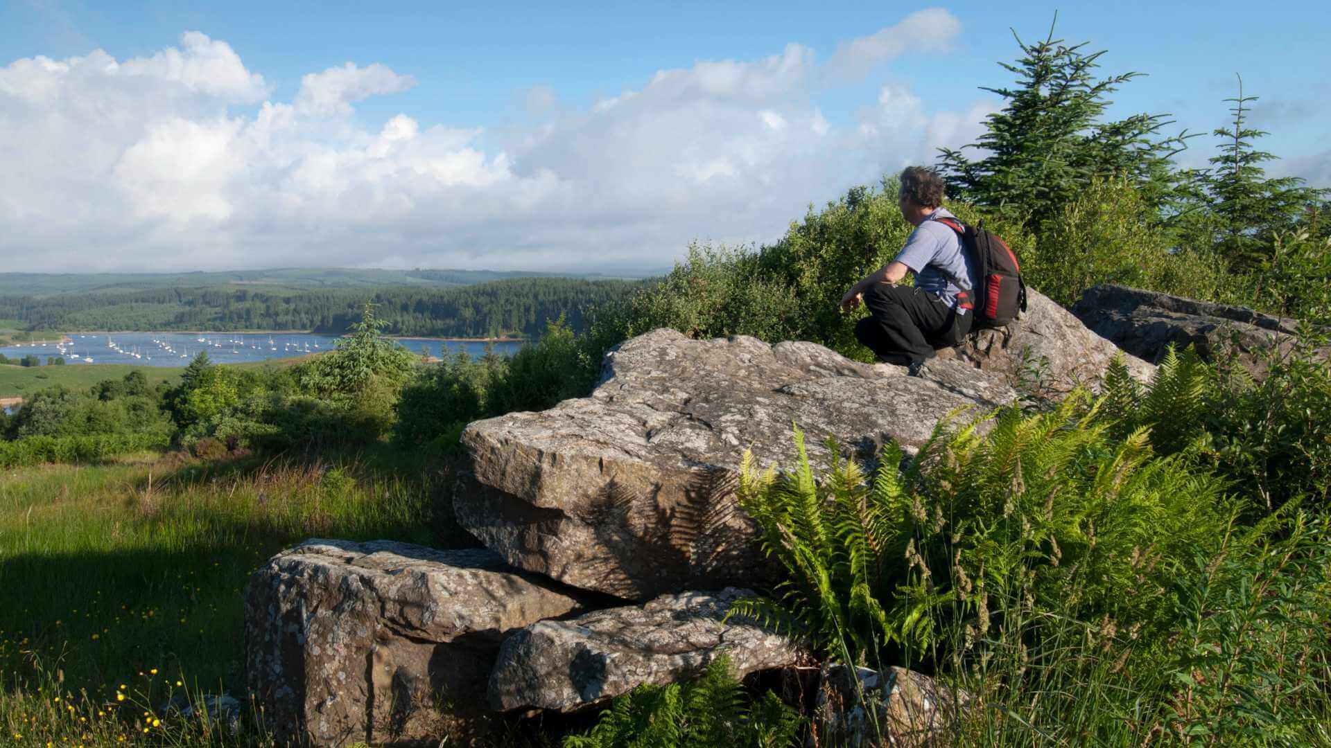 Elf Kirk Viewpoint