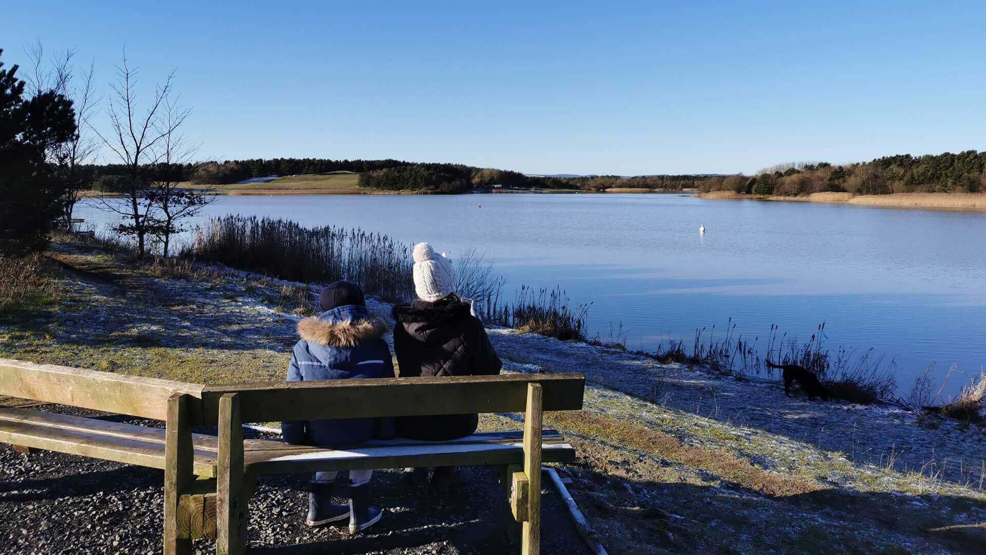 Winter scene at lake