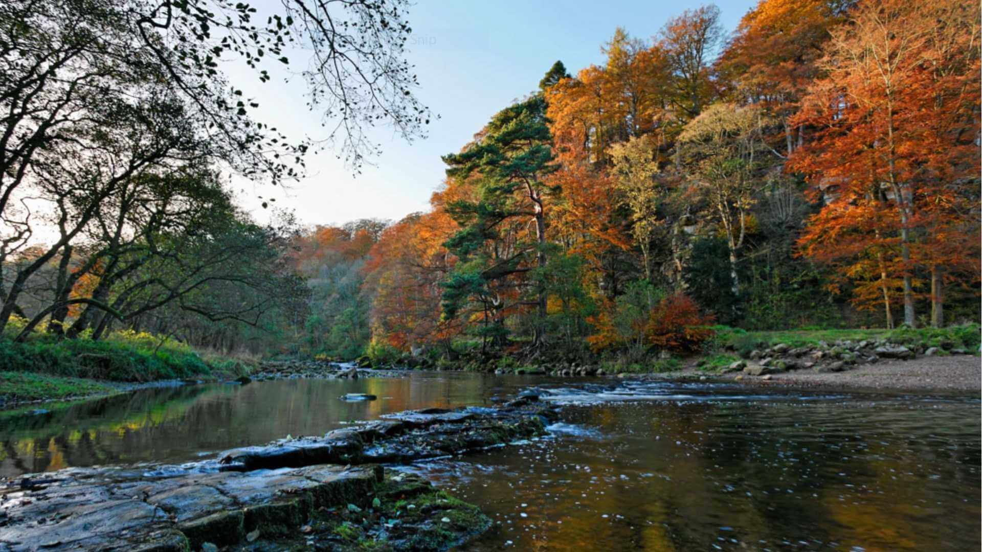 Allen Banks and Staward Gorge