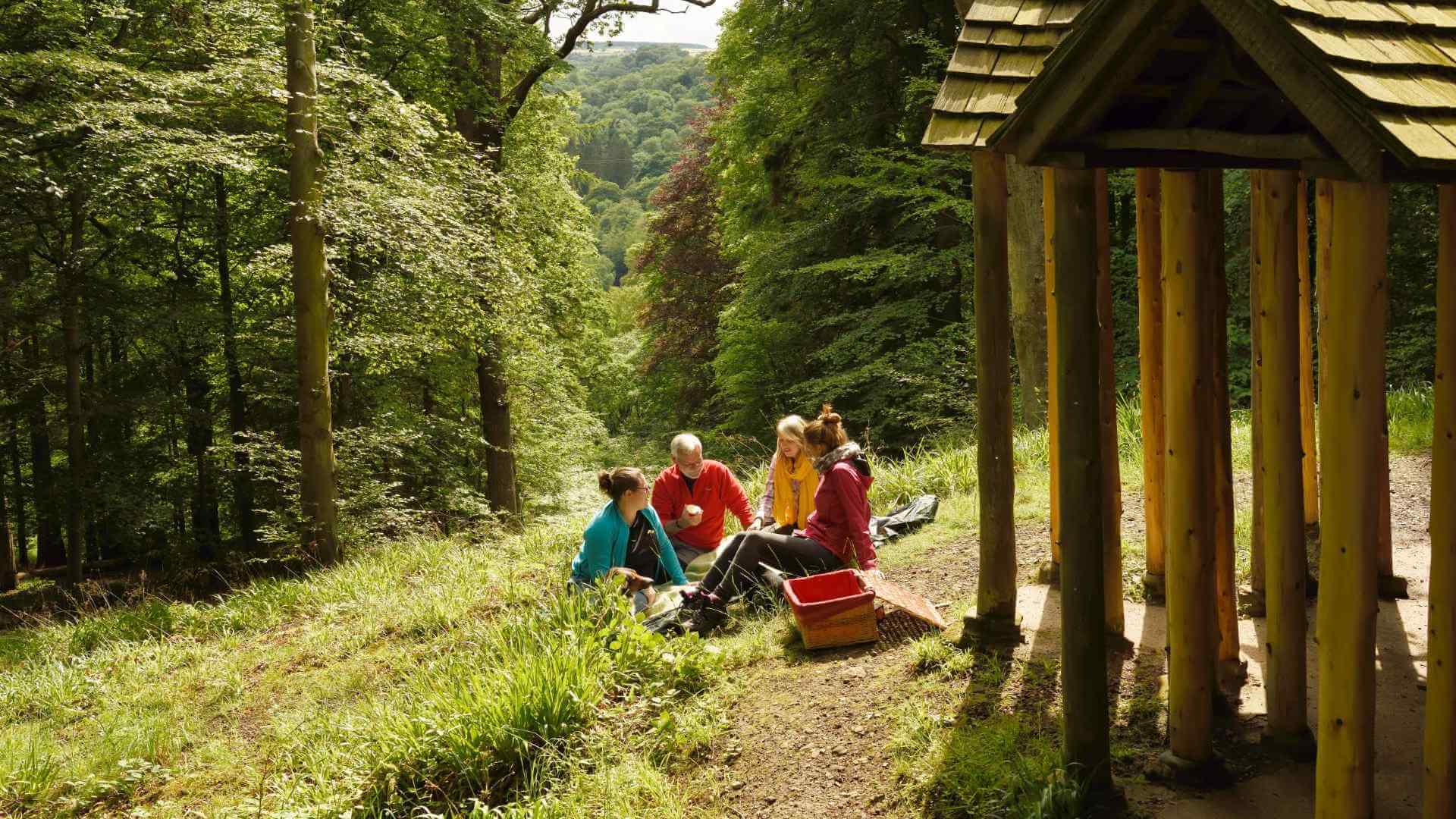 Group having picnic