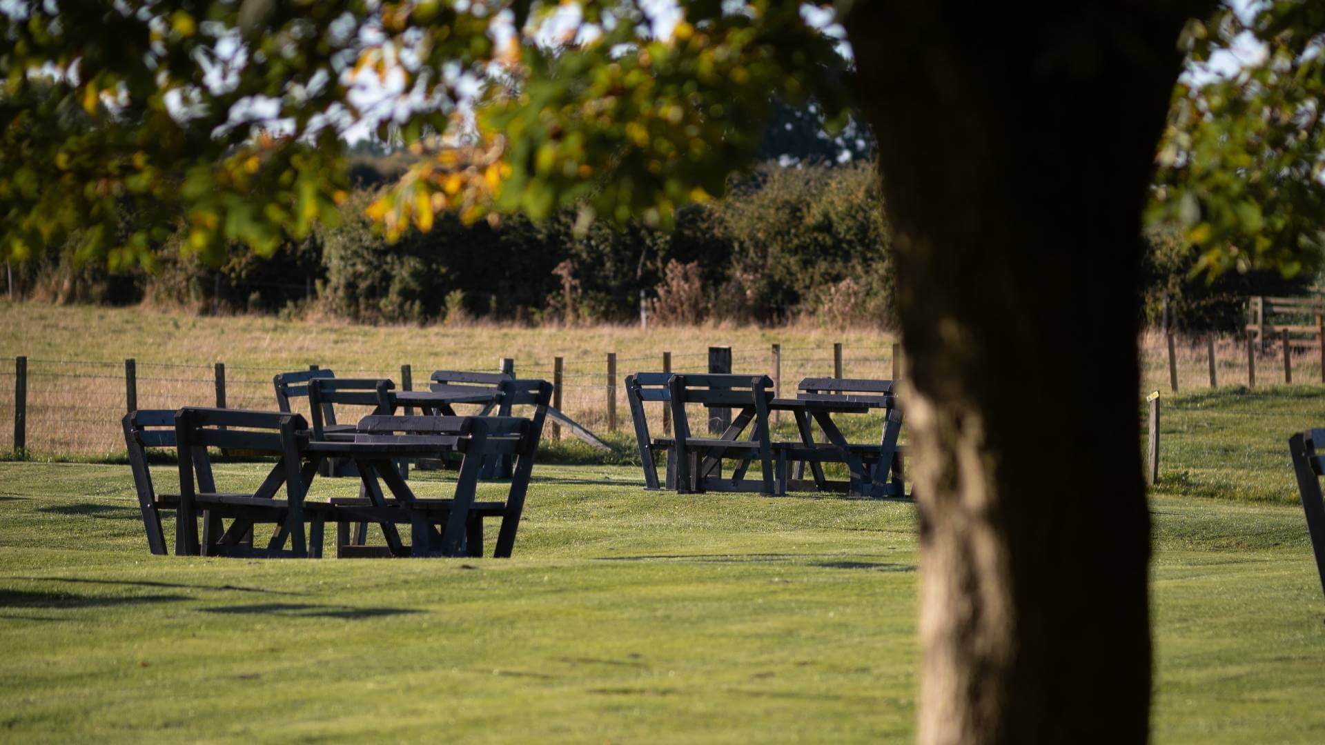 Beer Paddock