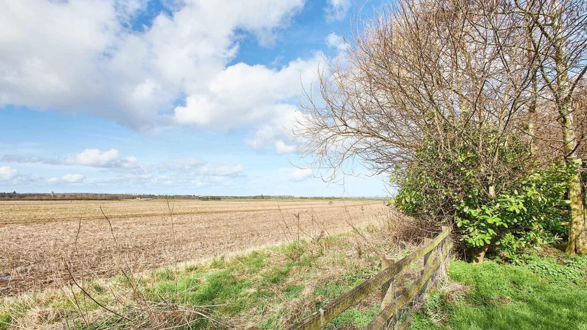 Field view