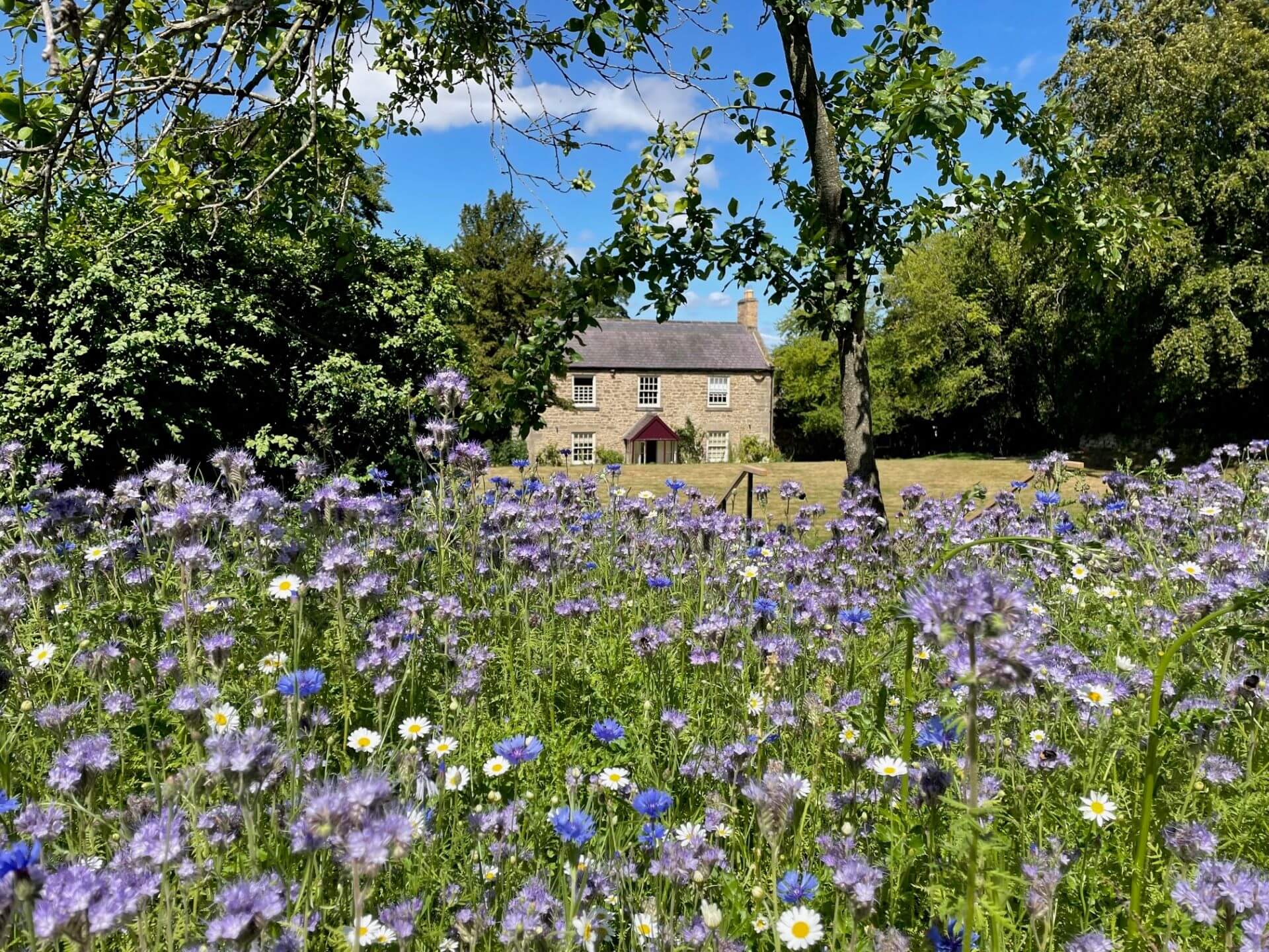 Cherryburn: Thomas Bewick Birthplace Museum